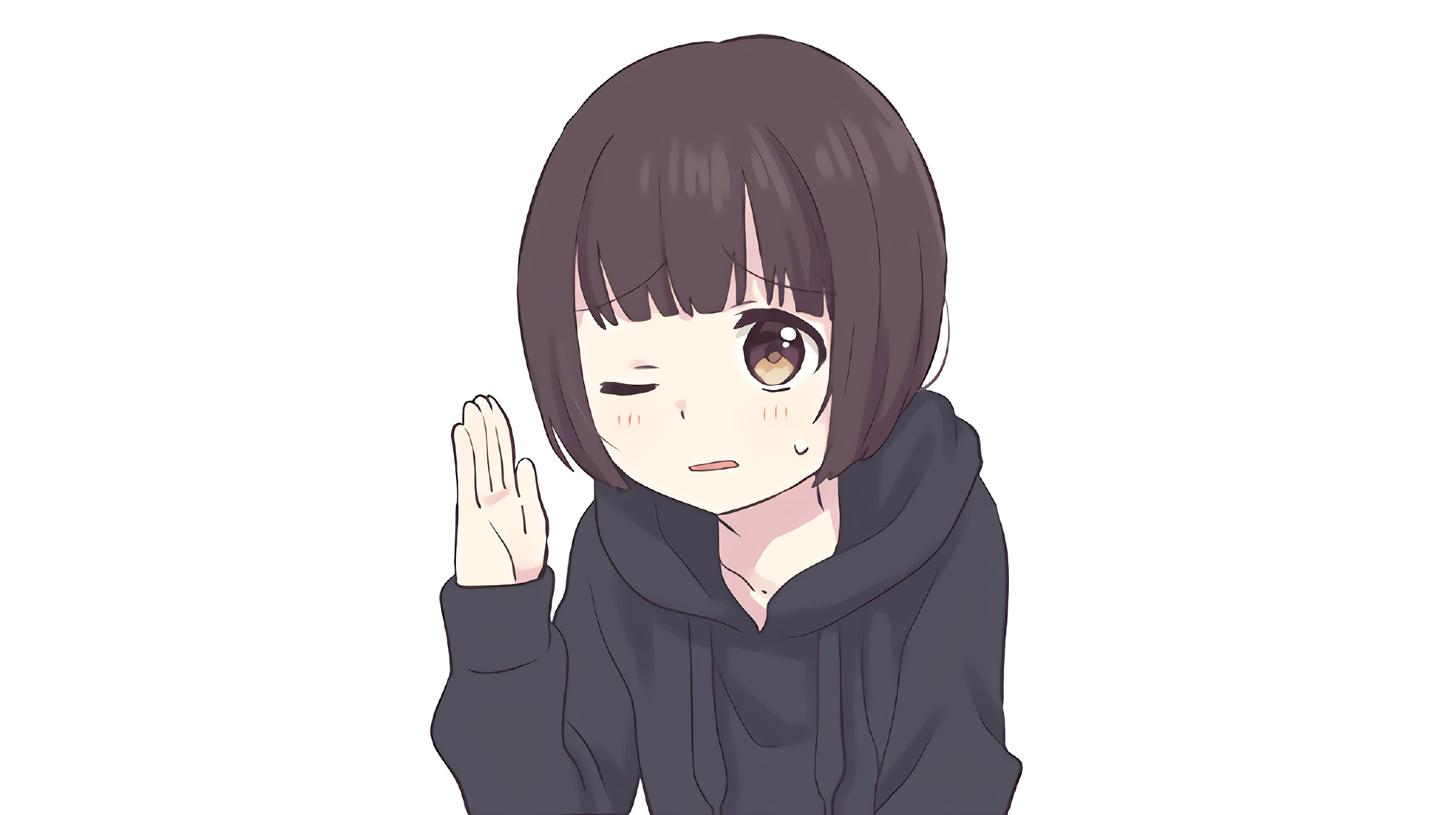 Aria2下载软件的Linux安装、配置文件编辑