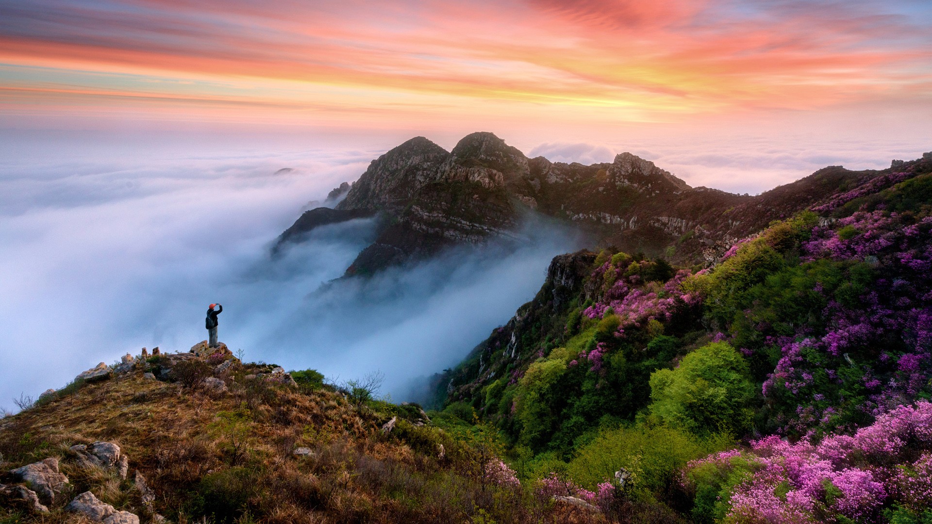 Untitled diagram-2025-11-10-031845.png