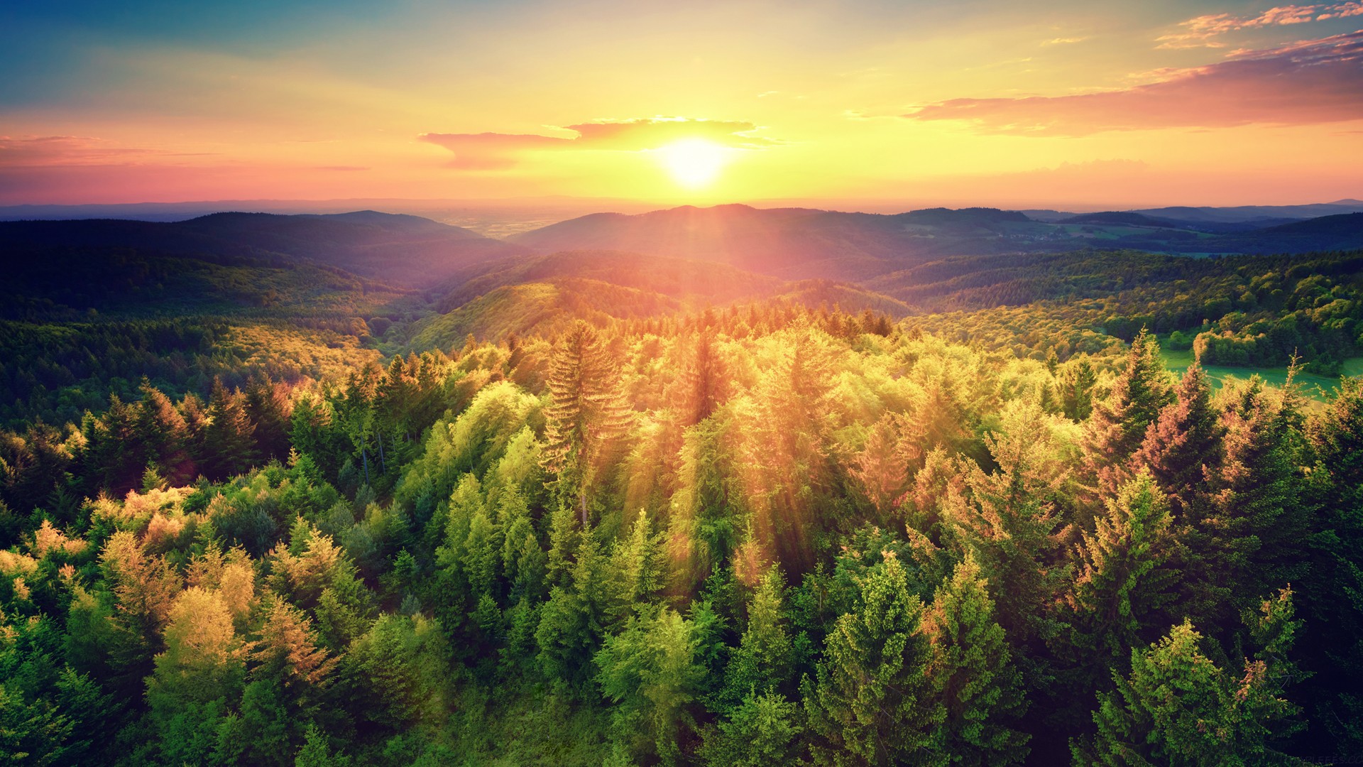 JavaScript 内存泄漏排查方法