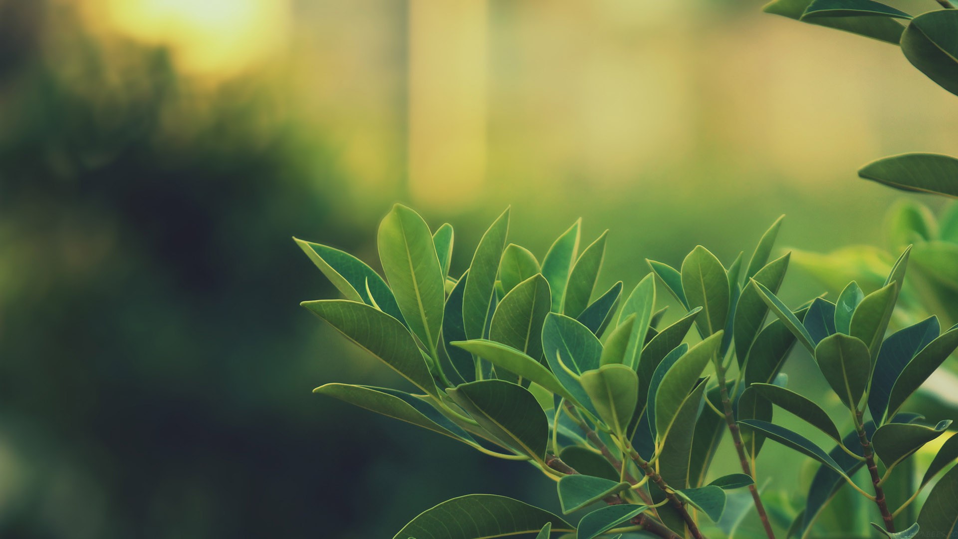 我的研发实践：高准确率 AICoding 工作流设计