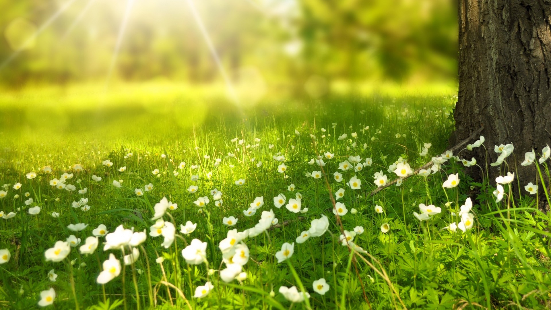 七大 MCP 支持的主流 AI 框架大盘点