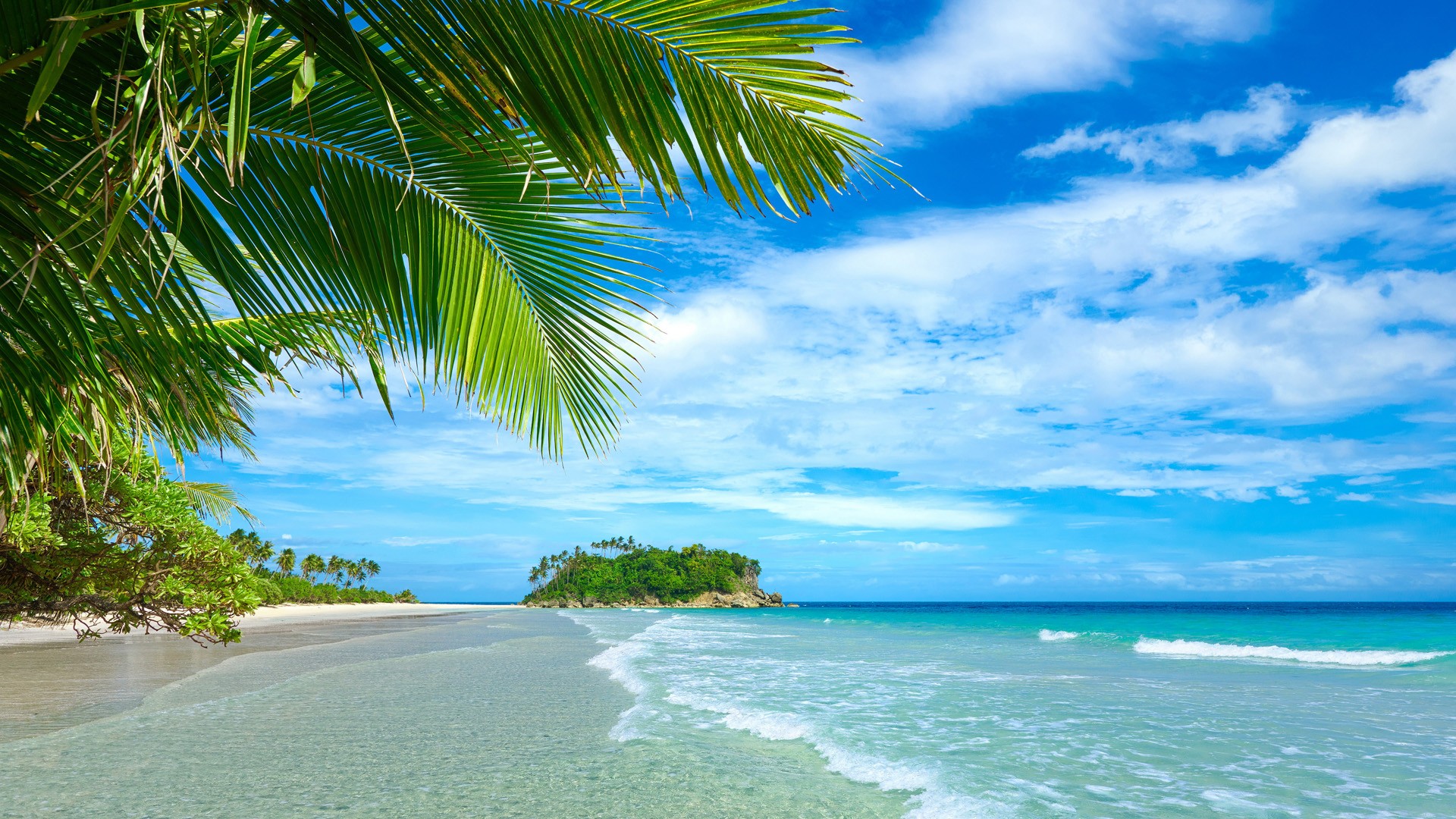 2 万行 App 代码，Claude 写了 95%！老开发者：每月只花 200 美元，就像一天多出 5 小时，IDE 要“变天”了！