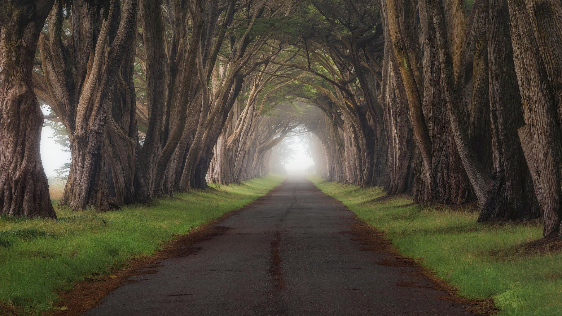 AI 时代下阿里云基础设施的稳定性架构揭秘