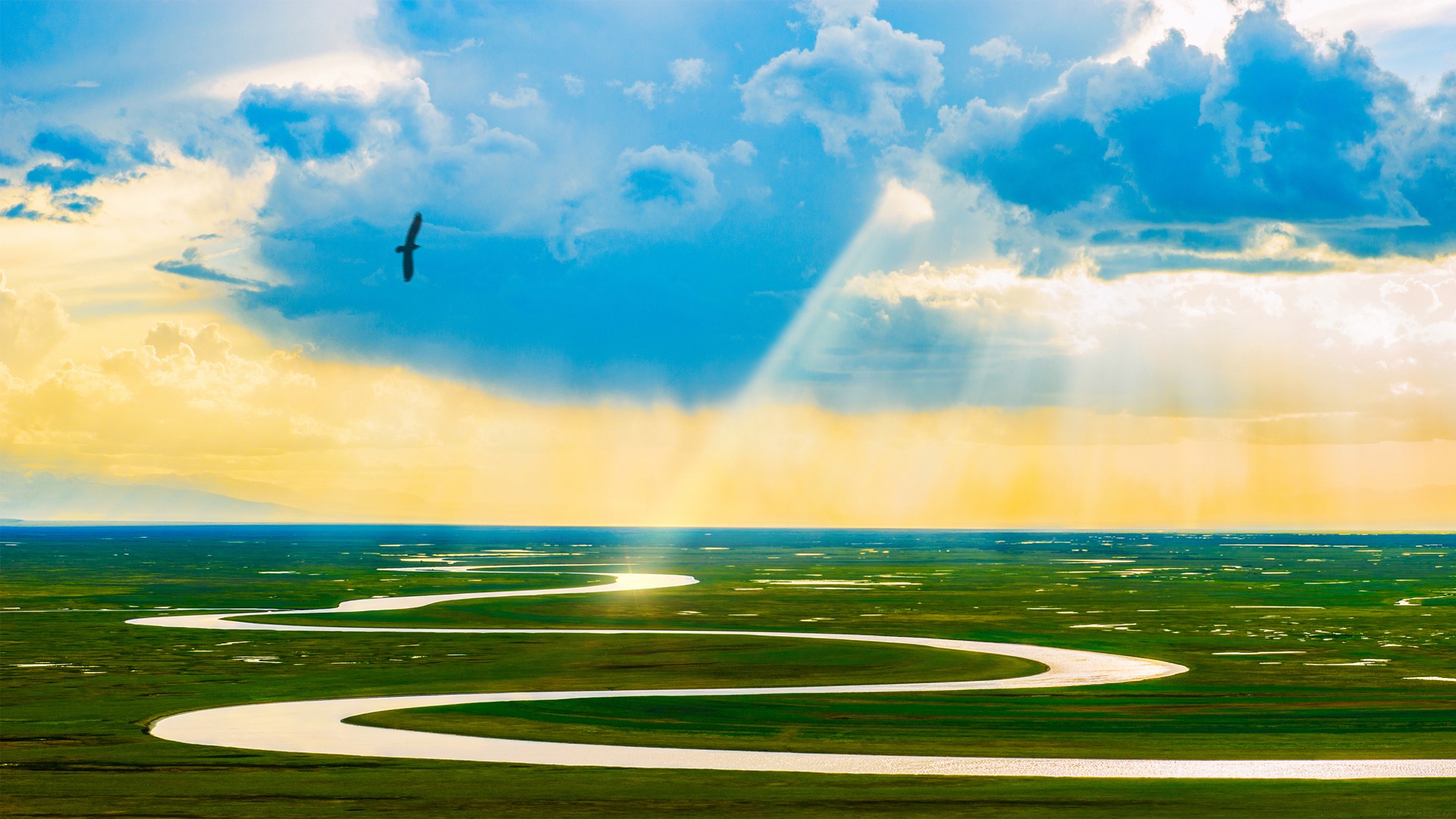 硅谷顶级 VC 如何看语音 AI？Greylock 合伙人揭秘语音 Agent 构建的三层策略