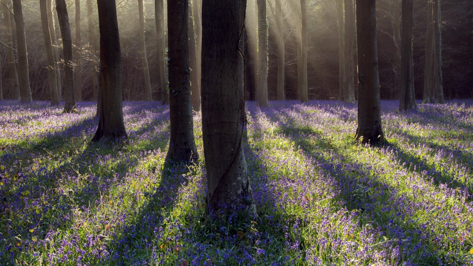 斯坦福大学教授李飞飞团队：2025 年人工智能发展报告总结！