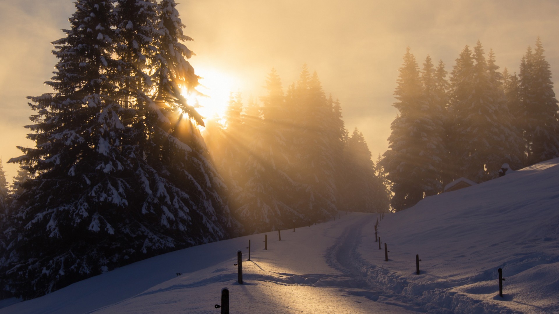 AI 智能体实战：100+次迭代后的意图识别提升之道