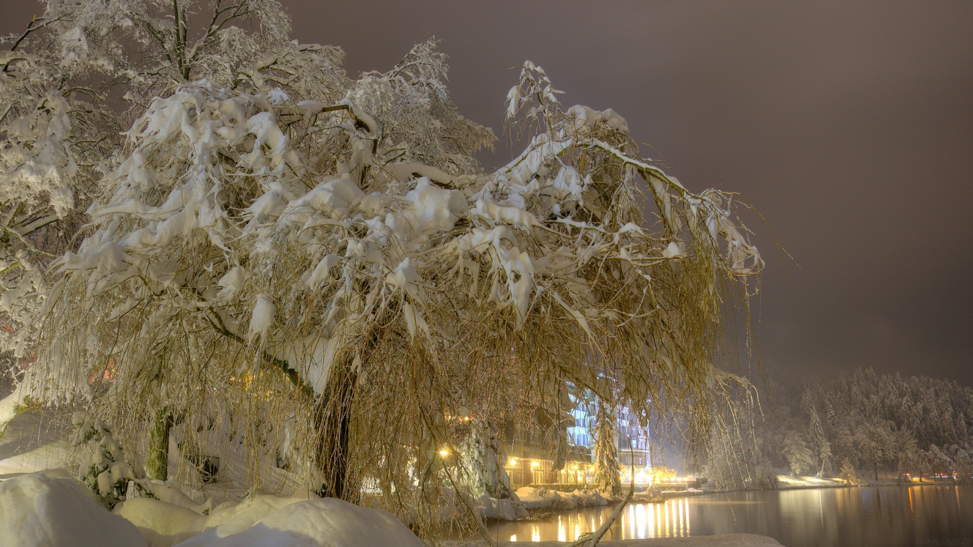 红杉美国：未来一年，这五个 AI 赛道我们重点关注