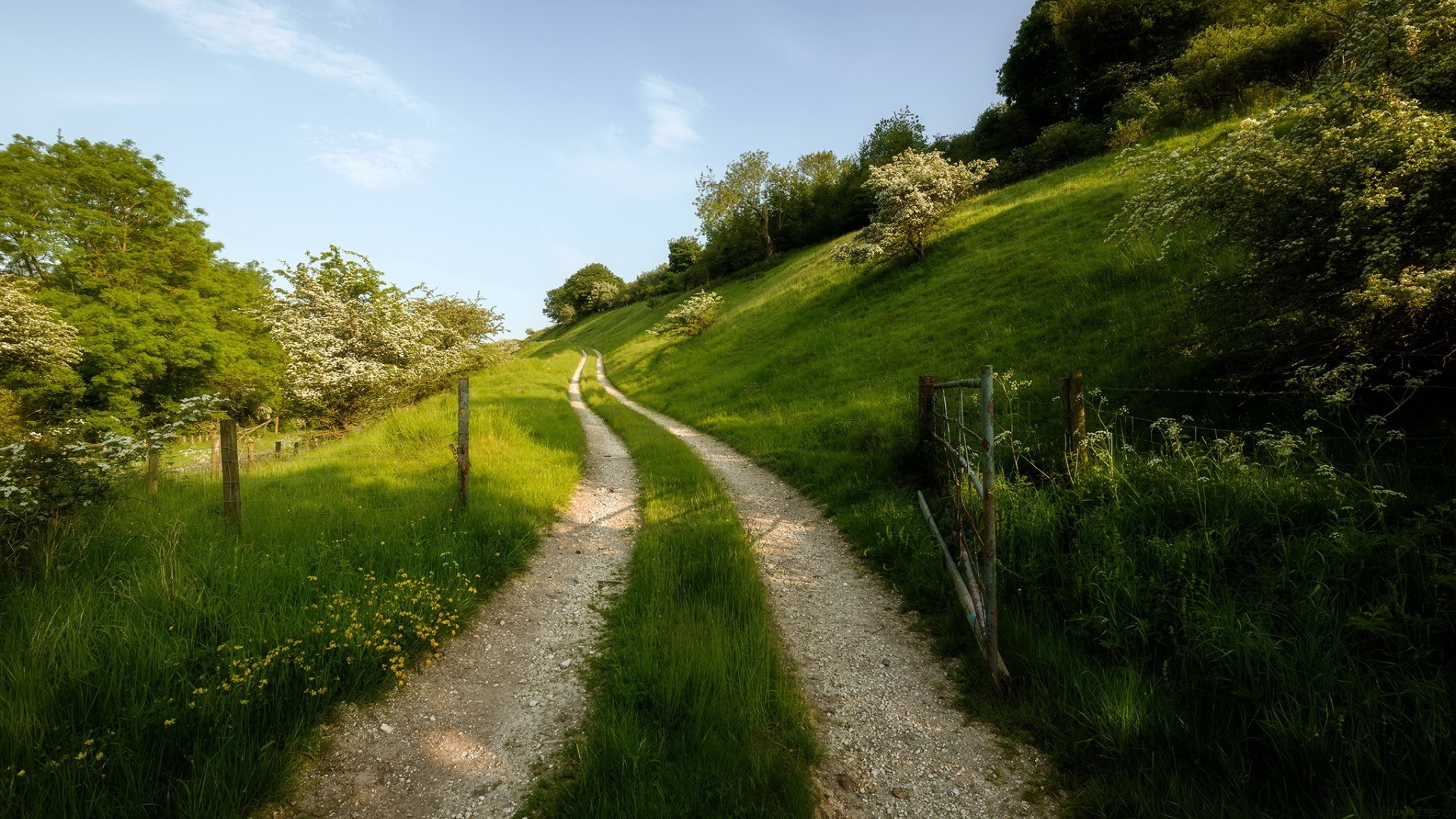 AI 时代的终端革命：Claude Code 完全指南