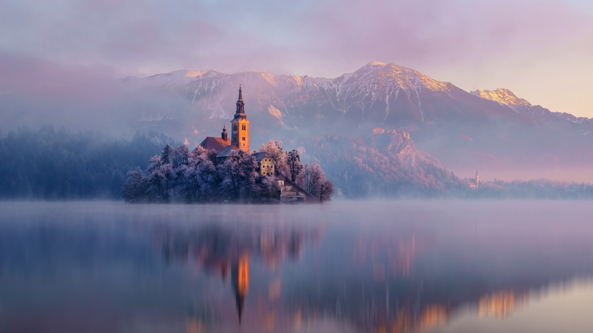 一次缓存引发的文件系统数据不一致问题排查与深度解析