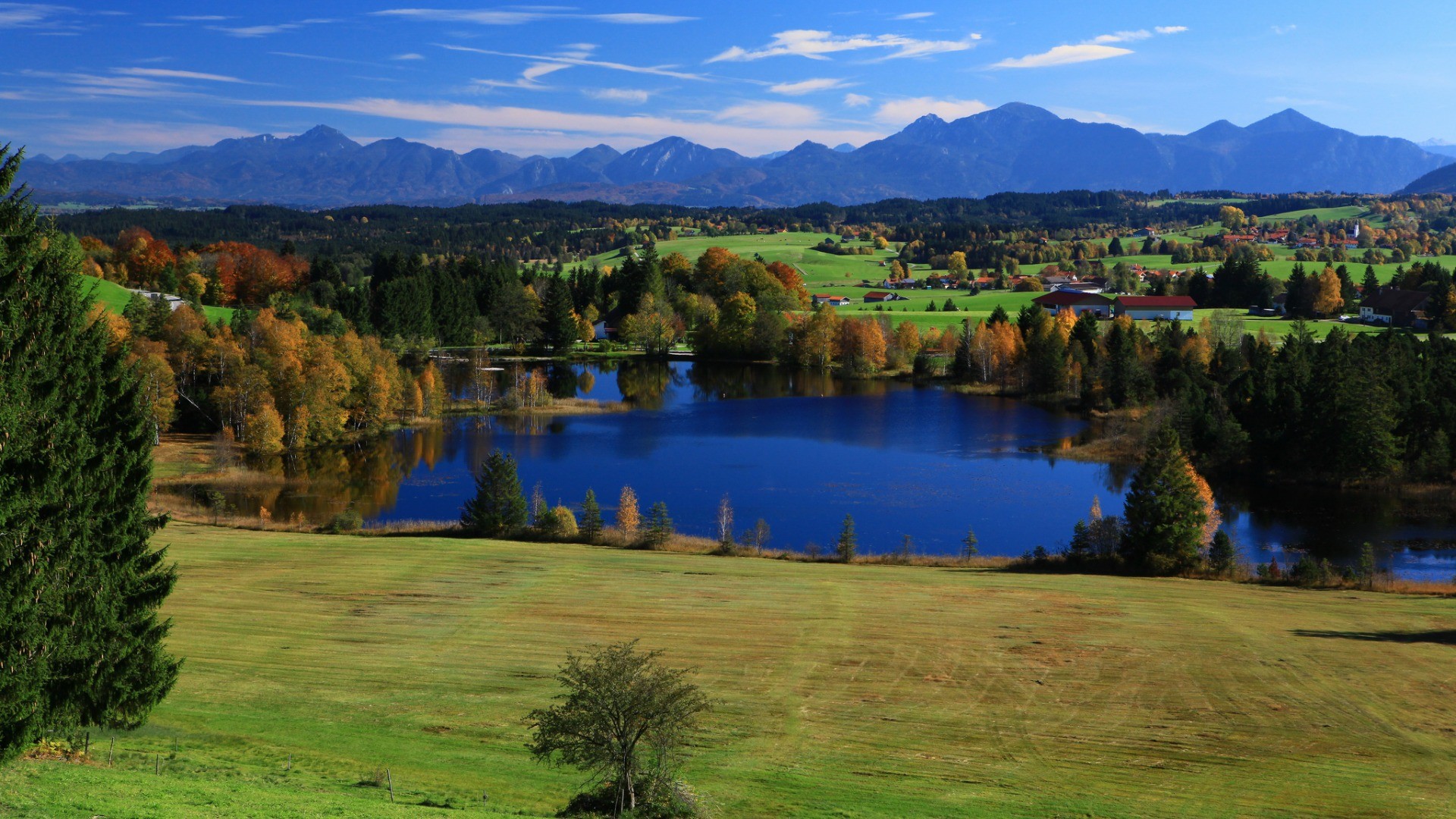 刘润年度演讲：最赚的生意，藏在情绪里