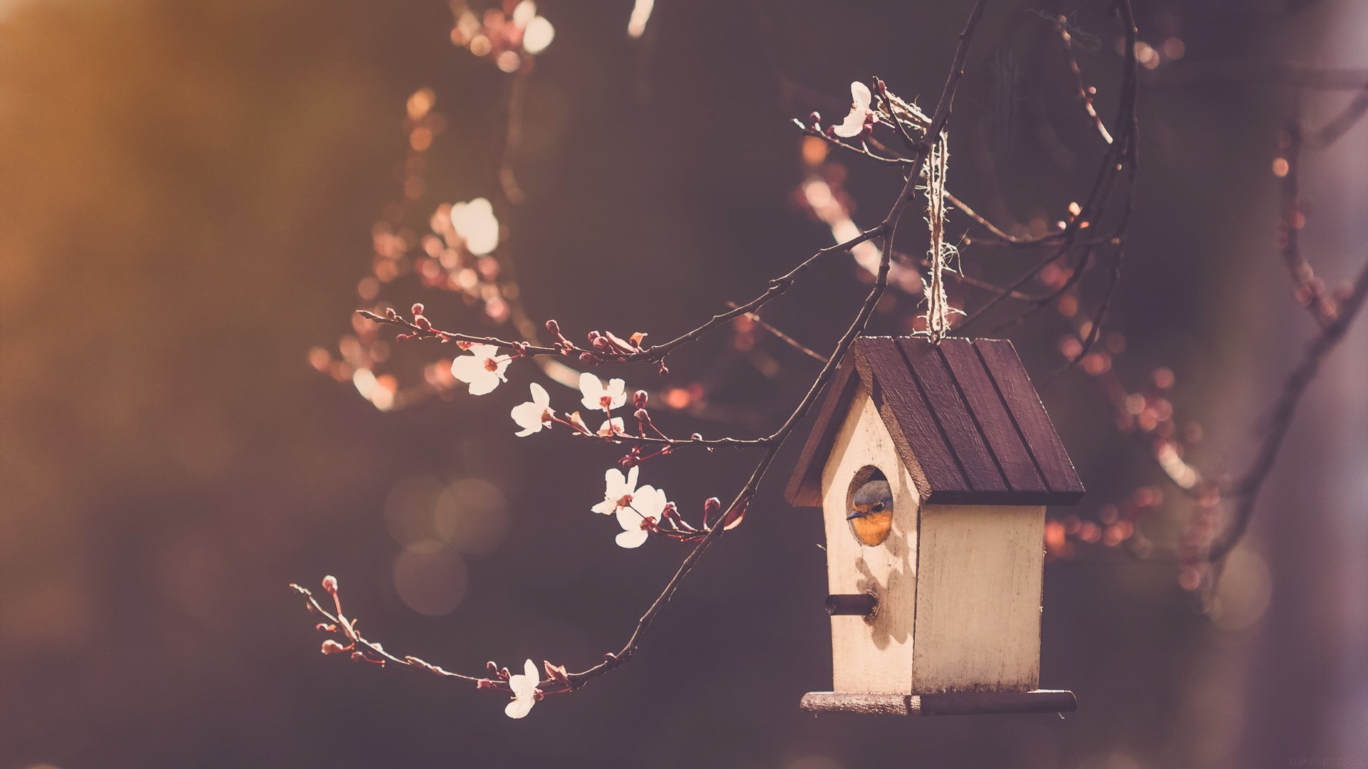 超详细提示词教程｜玩转 Wan2.2