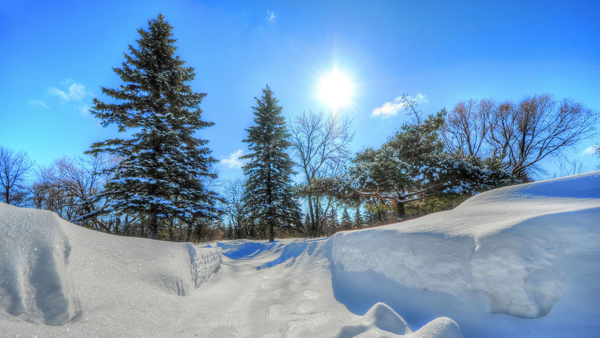 星流 Agent，10 分钟做了我一周的工作量！超全测评来了。