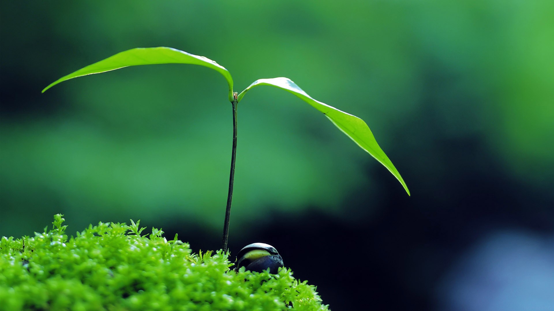 人物一致性新王 Nano Banana 登基，AI 图片编辑史诗级升级。