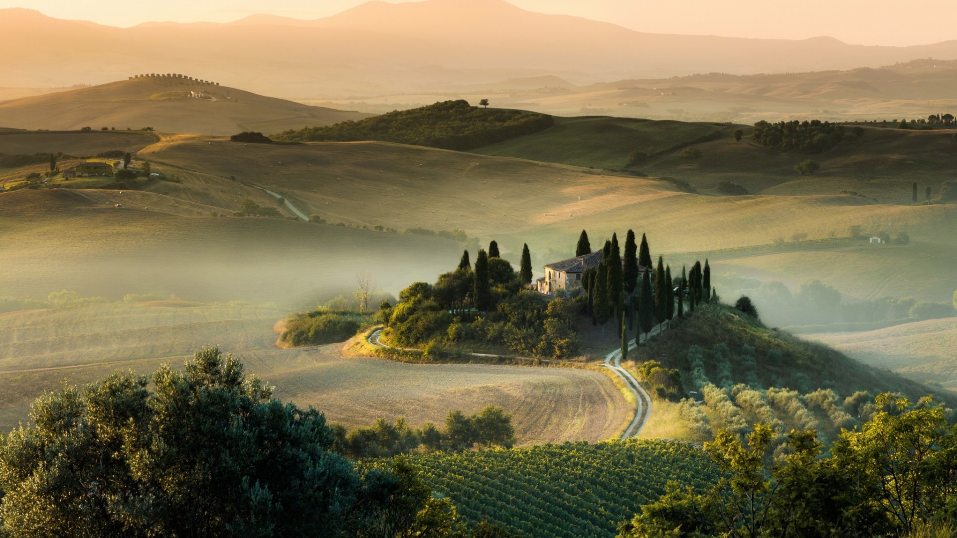 ReAct 范式深度解析：从理论到 LangGraph 实践