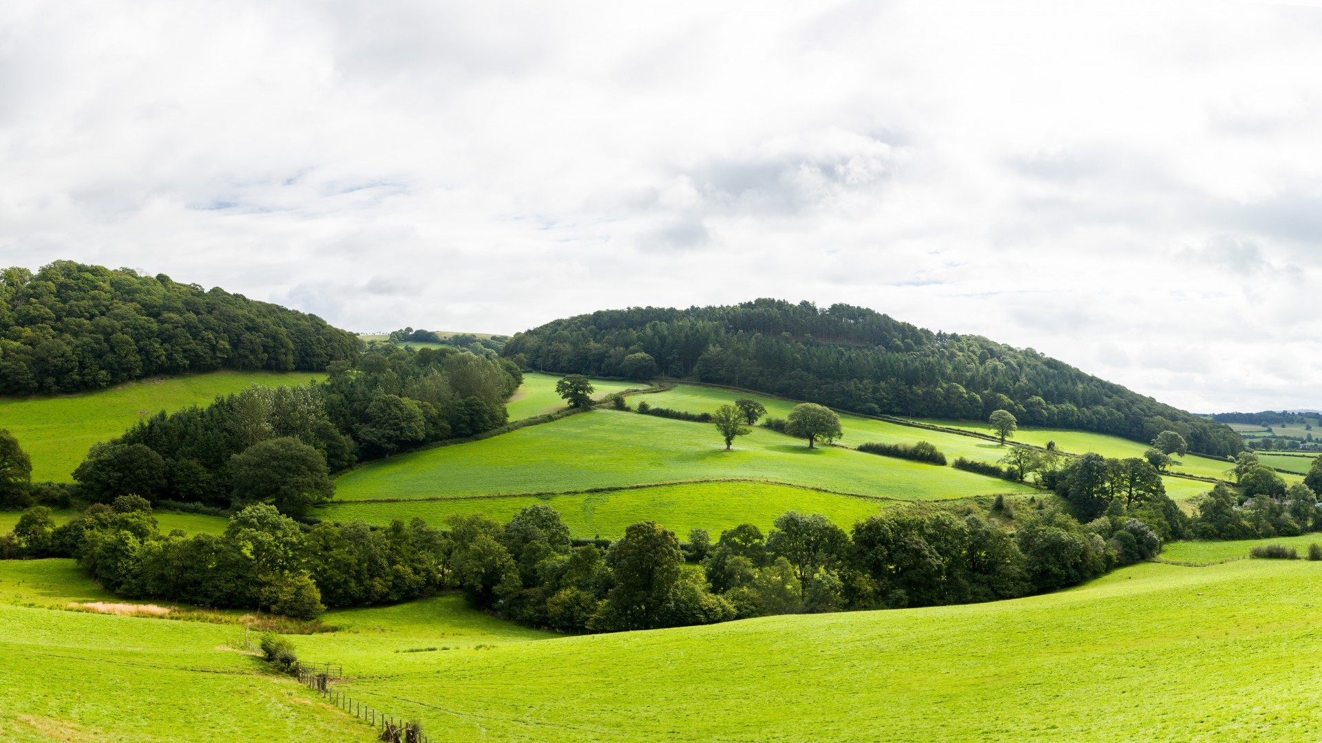 顶级邪修｜万字教程｜教你速通豆包・图像创作模型 Seedream 4.0