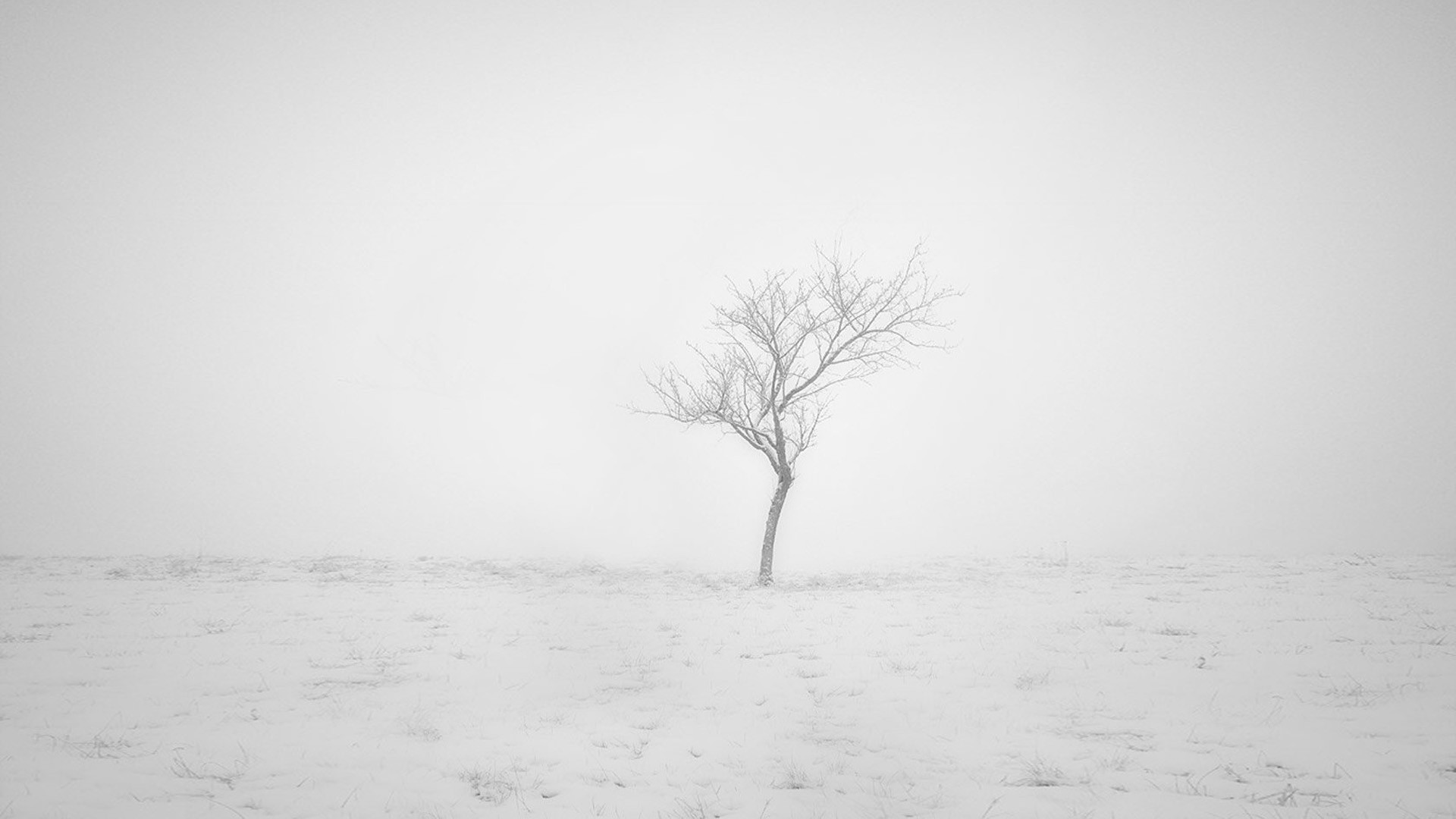 一场由 AI 拯救的数据重构之战