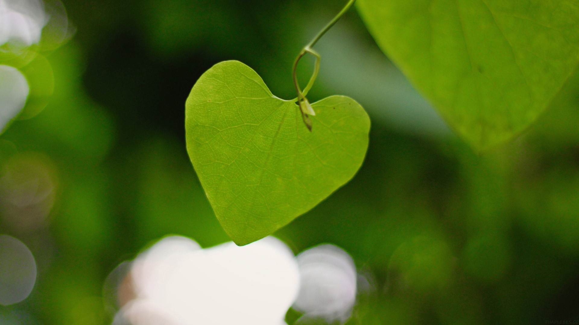 「OK Computer」，Kimi Agent 模式开启内测