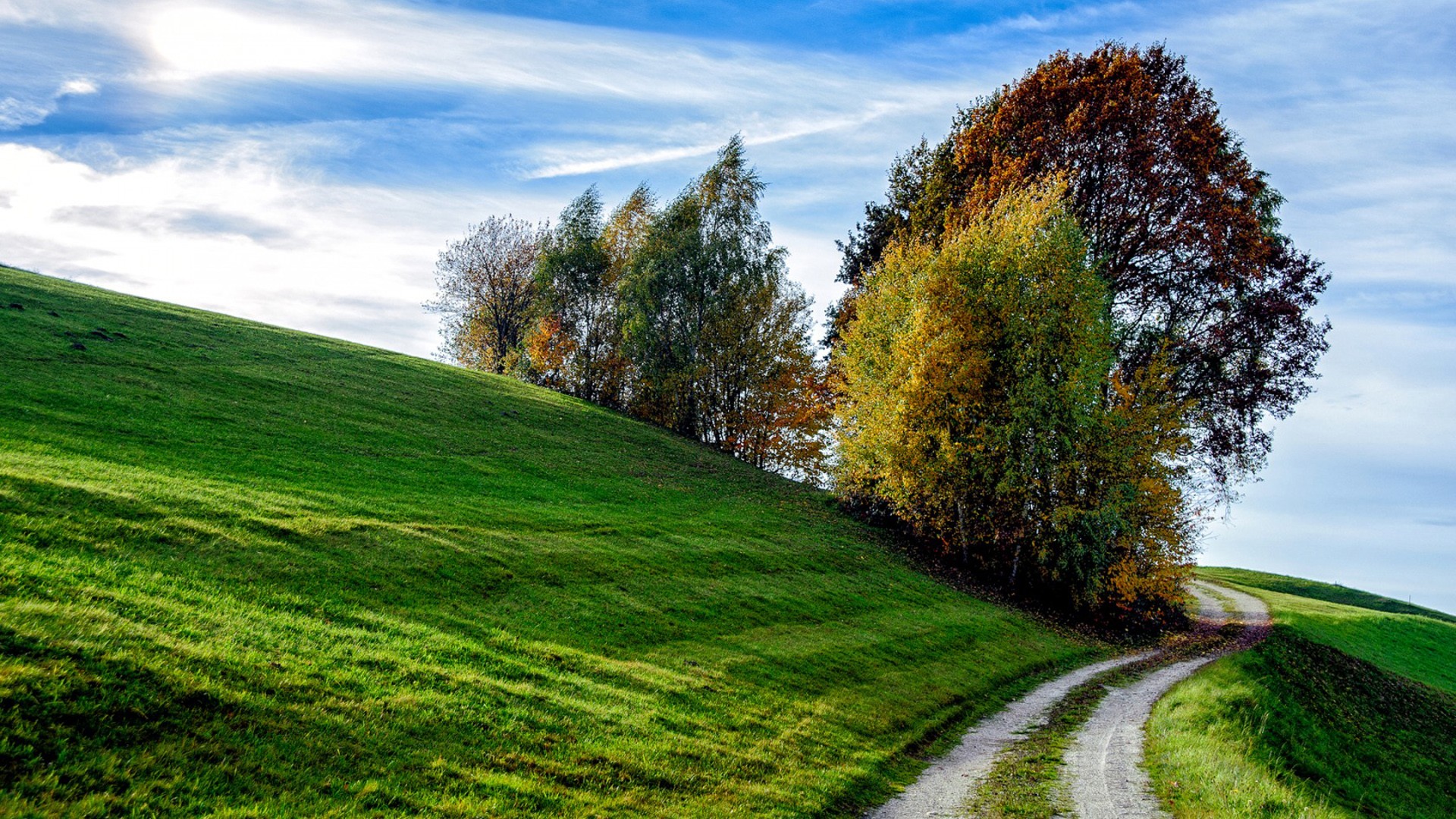 淘宝直播数字人：音视频&算法工程技术