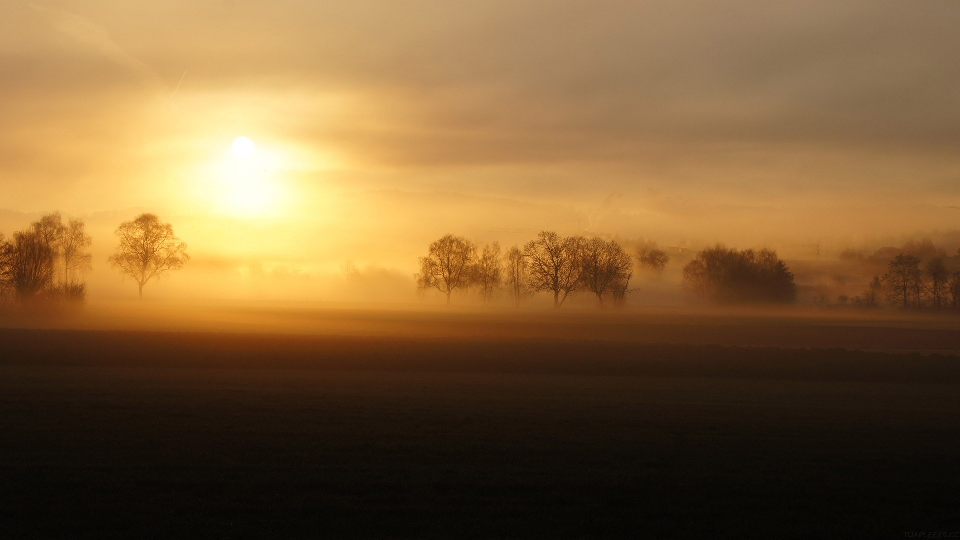 如何用 AI 做营销：问题不是如何提效，而是底层打法变了