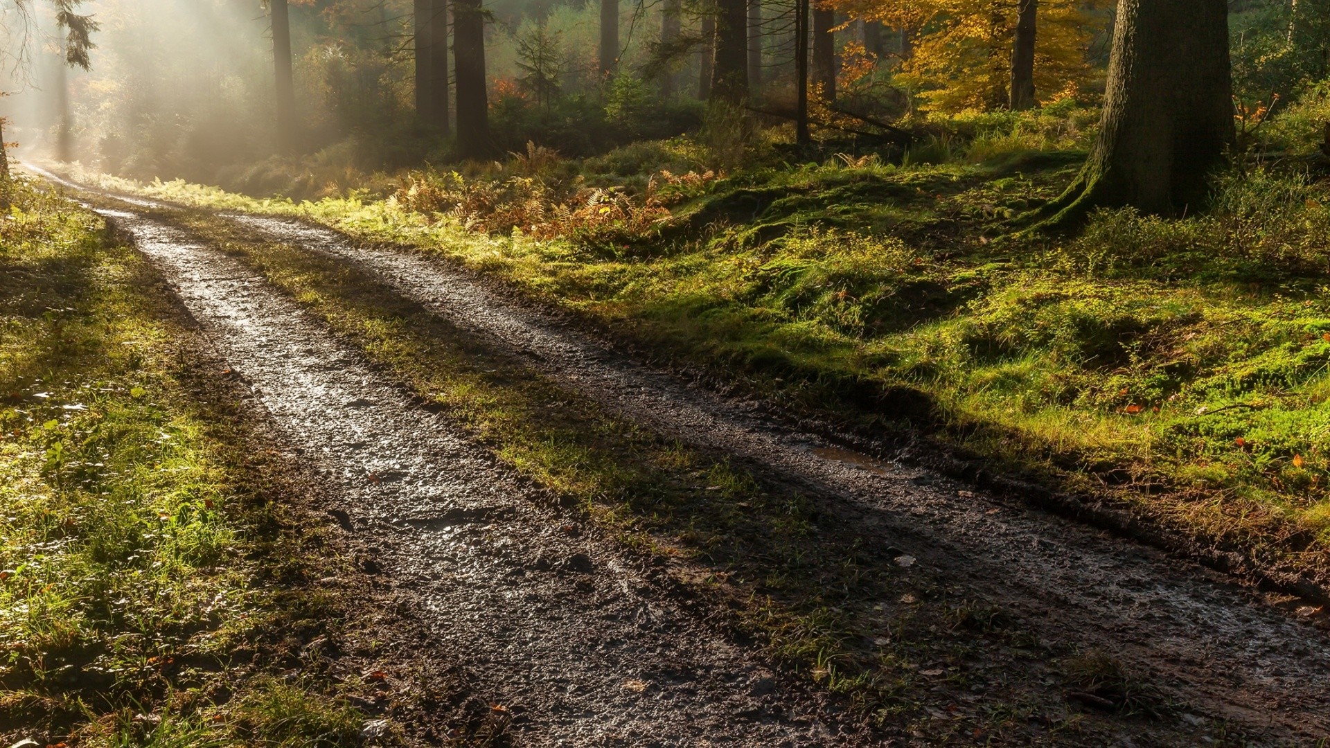 星流 Agent，10 分钟做了我一周的工作量！超全测评来了。