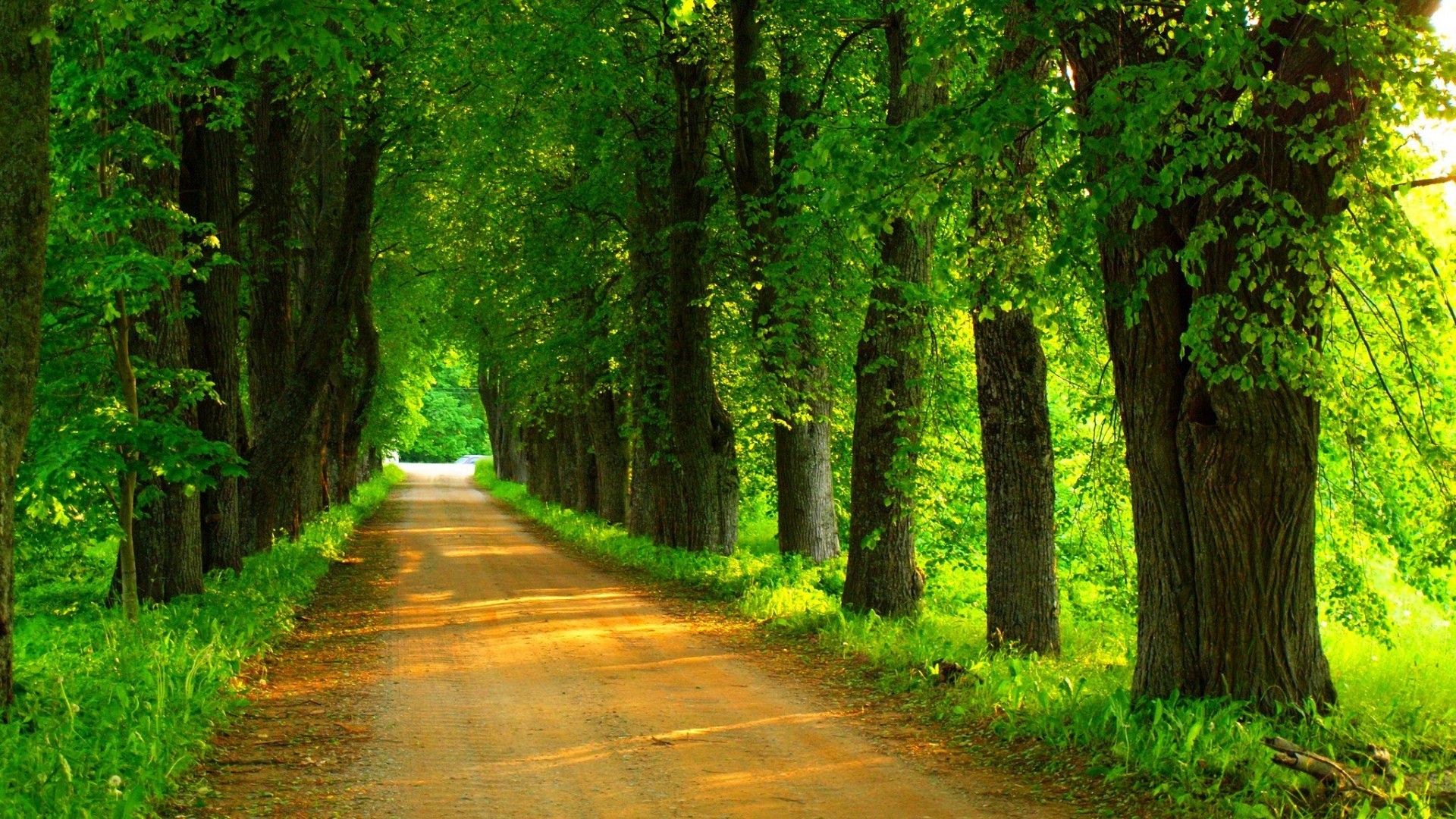 Jina 官方 MCP 三板斧：搜、读、筛