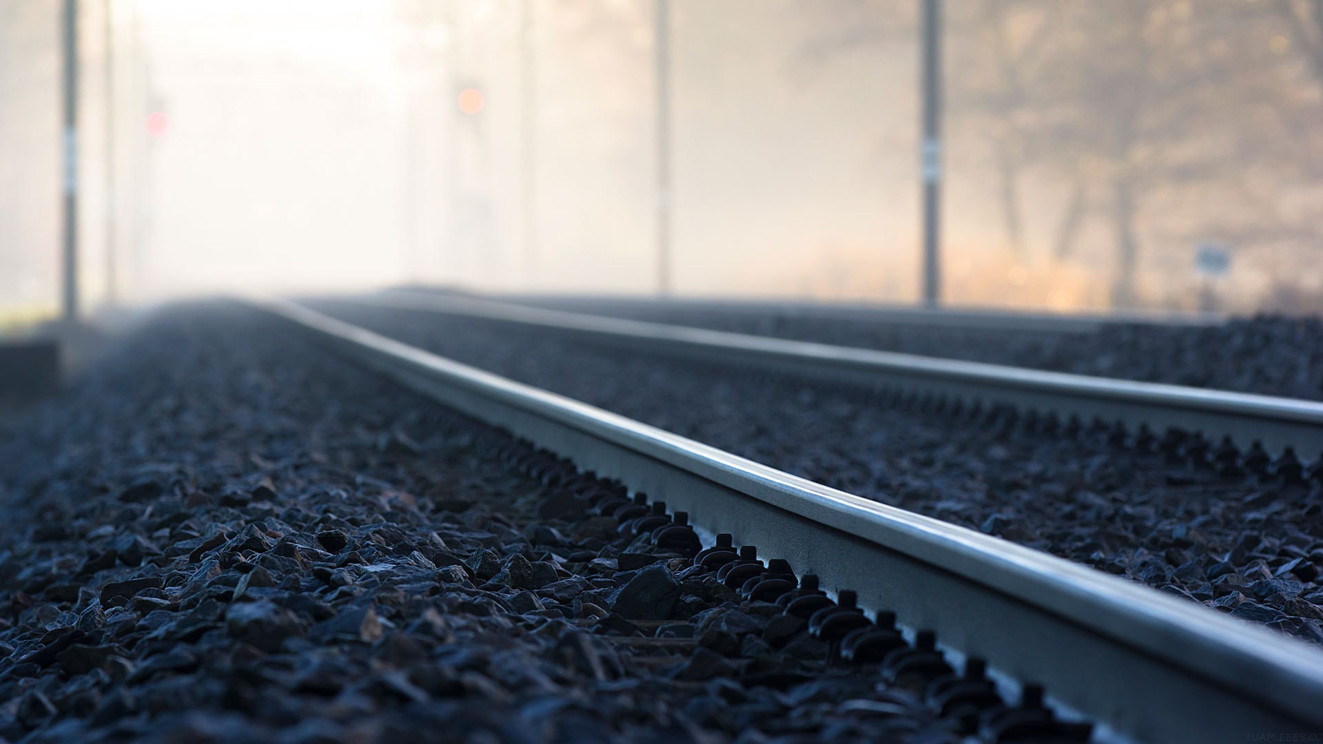 【第 3591 期】GitHub Spec-Kit：规范驱动开发走在正确的方向上 - 严谨、渐进式的 Vibe Coding