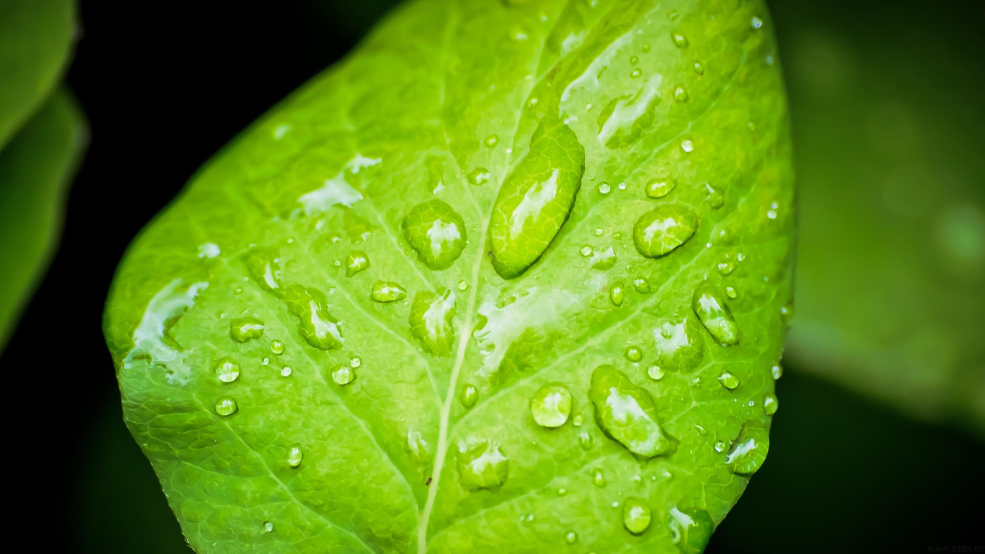 美国知名风投 BVP 年度 AI 报告：Memory 和 Context 将是新的护城河