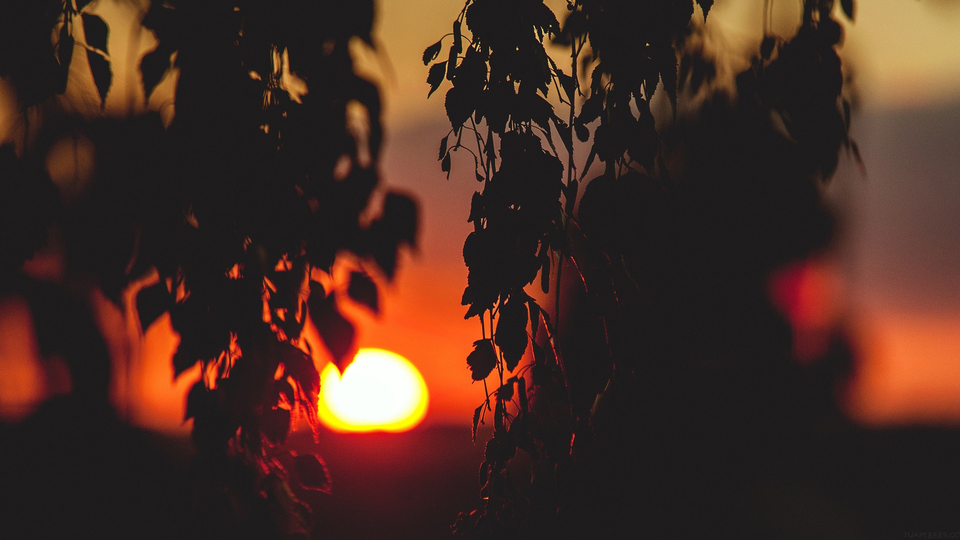 秘塔 AI 也终于悄悄上线了 DeepResearch。