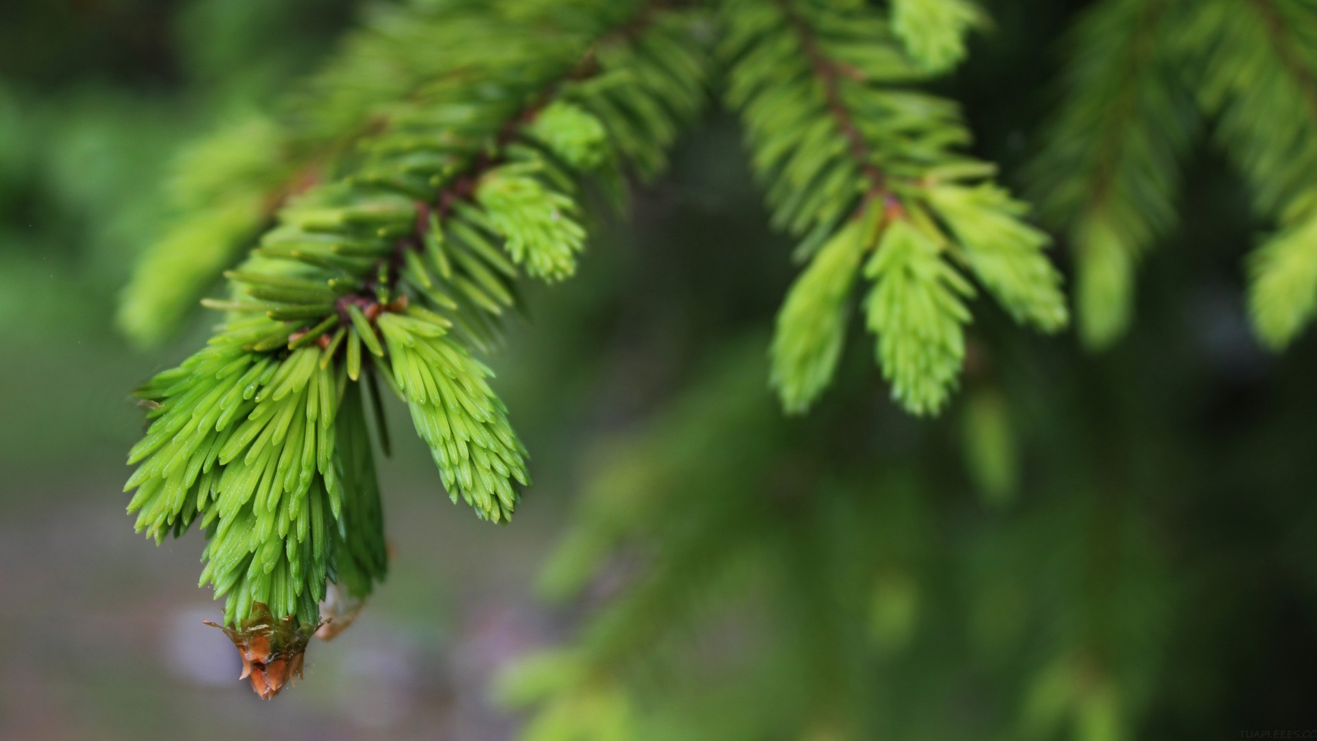 【智造】AI 应用实战：6 个 agent 搞定复杂指令和工具膨胀