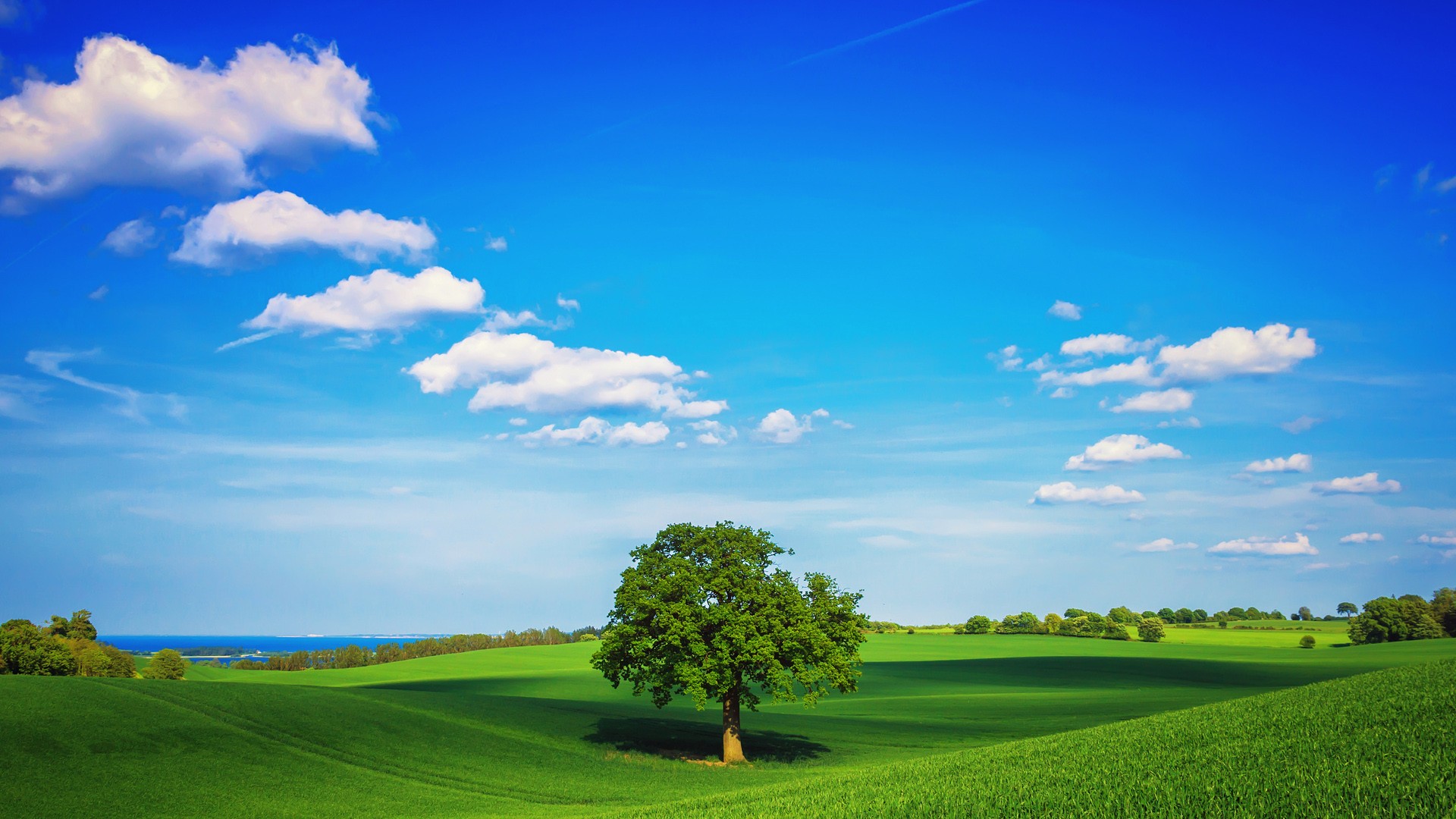 tRPC-Agent-Go：构建智能 AI 应用的 Go 语言 Agent 框架