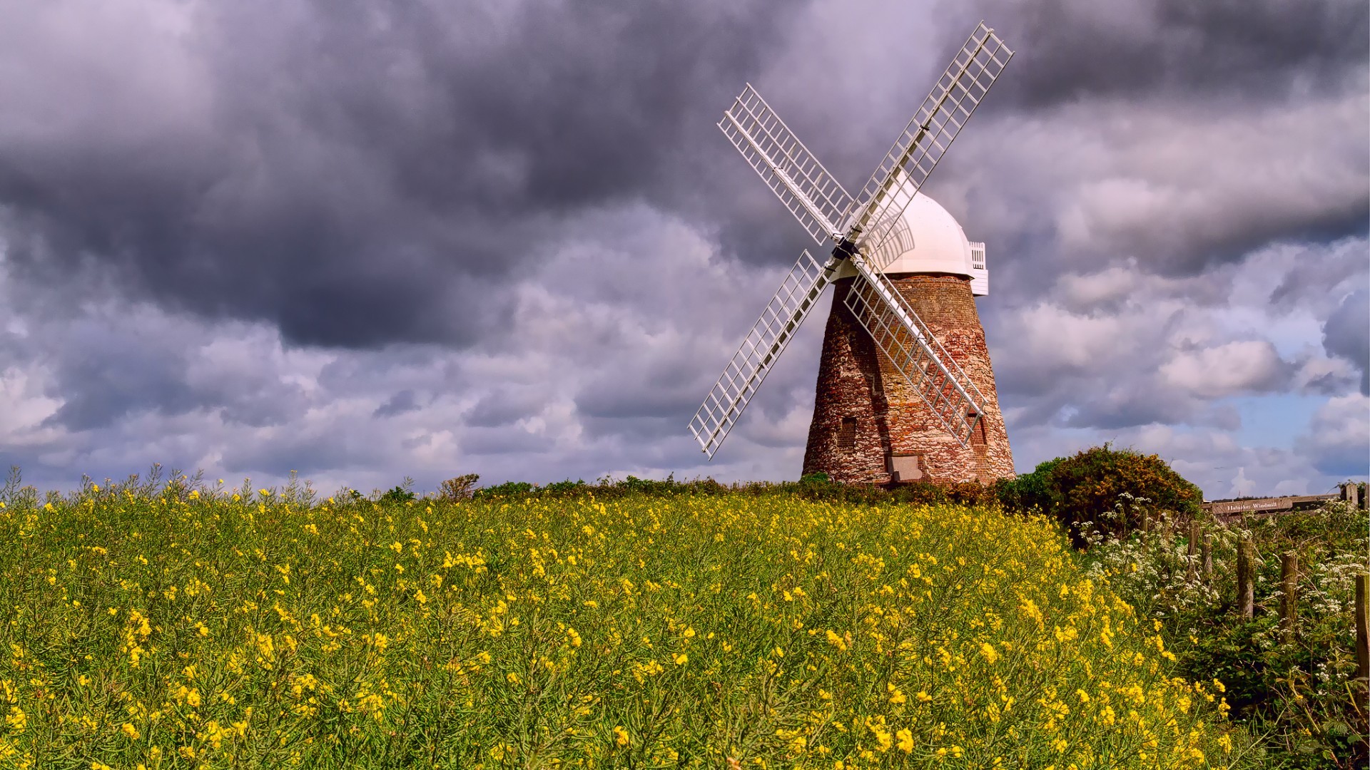 Lovart 国内版来了，不排队不要邀请码，更懂中国设计师