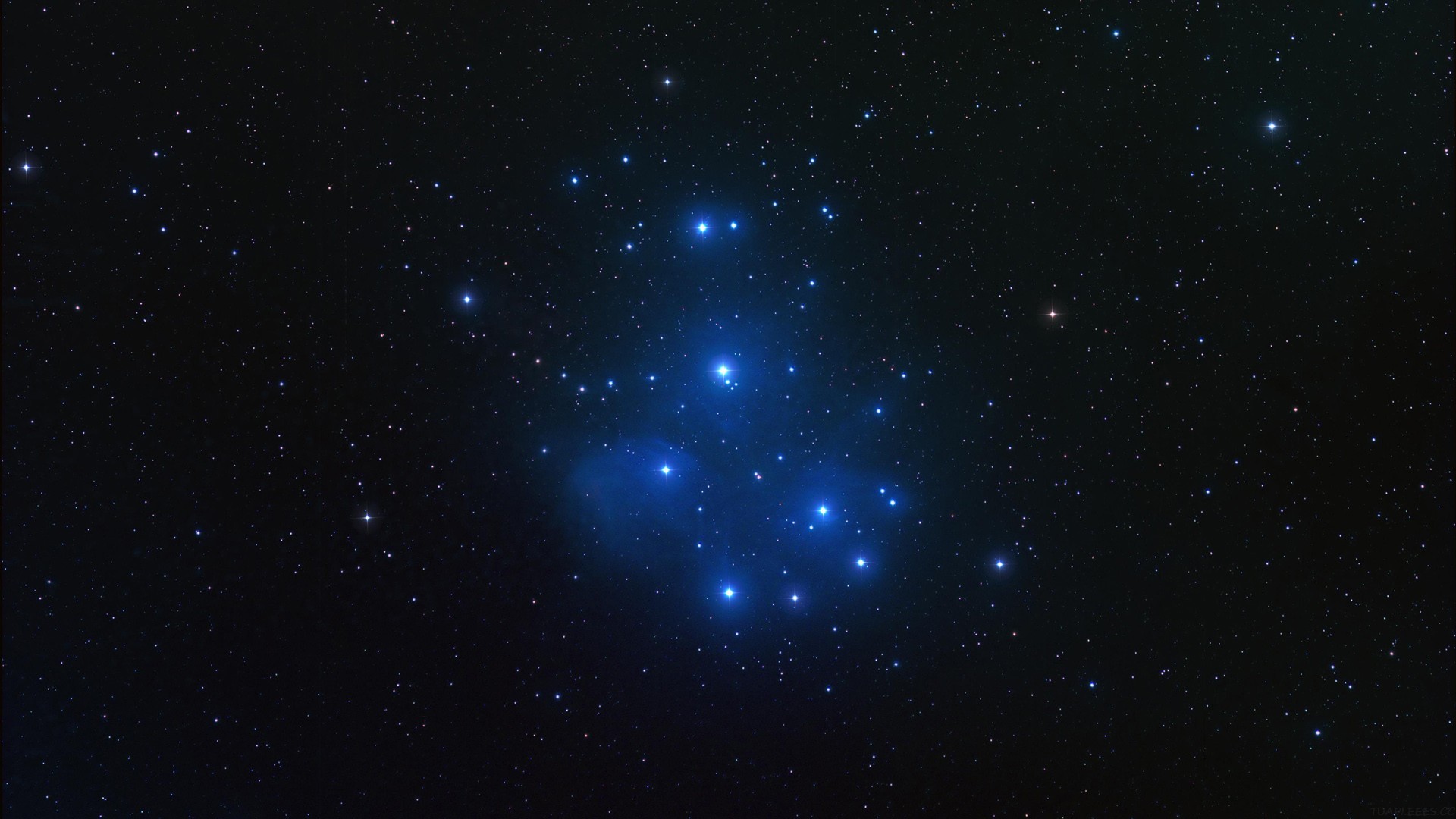 等待 30 秒 AI 搞定一切？12 年码农警告：“Vibe Coding 正在养出「脑残」程序员”