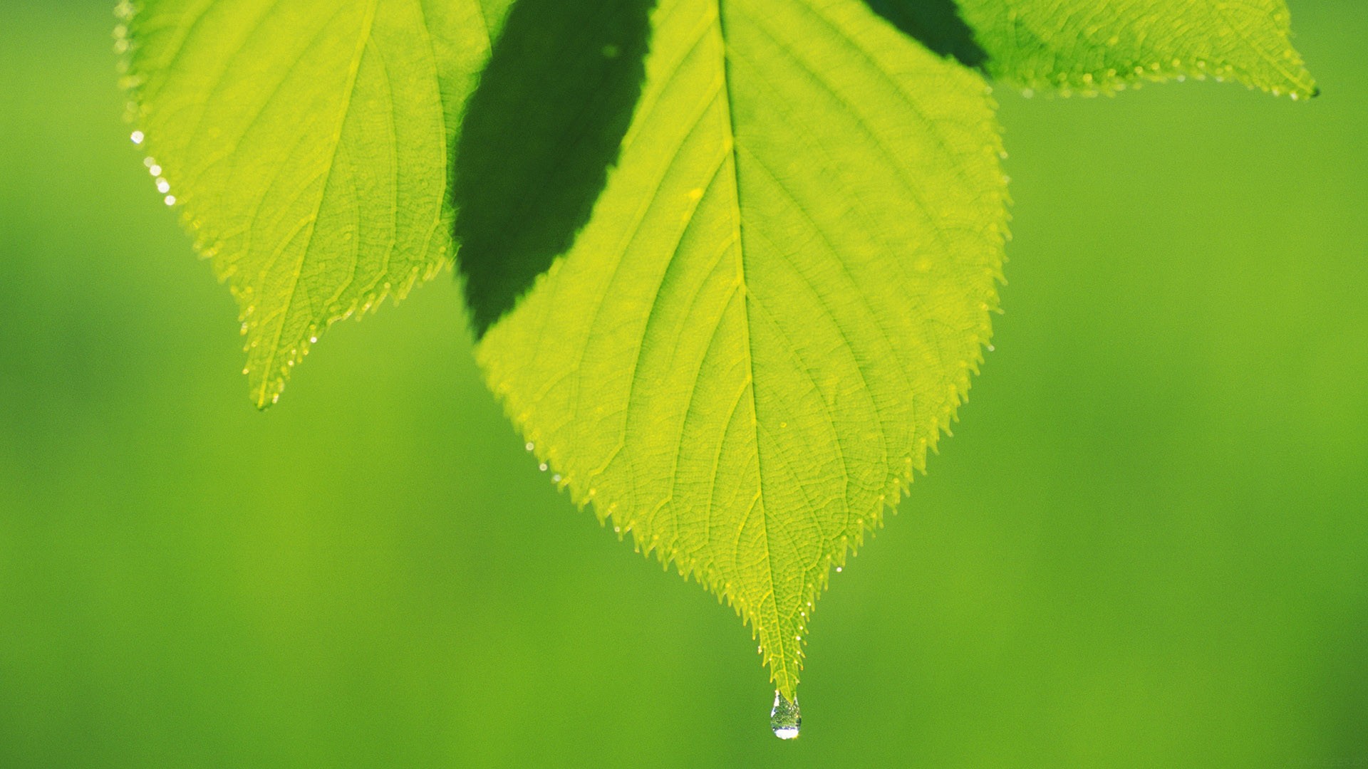 对话余凯：世界不止刀光剑影，是一部人来人往的江湖故事