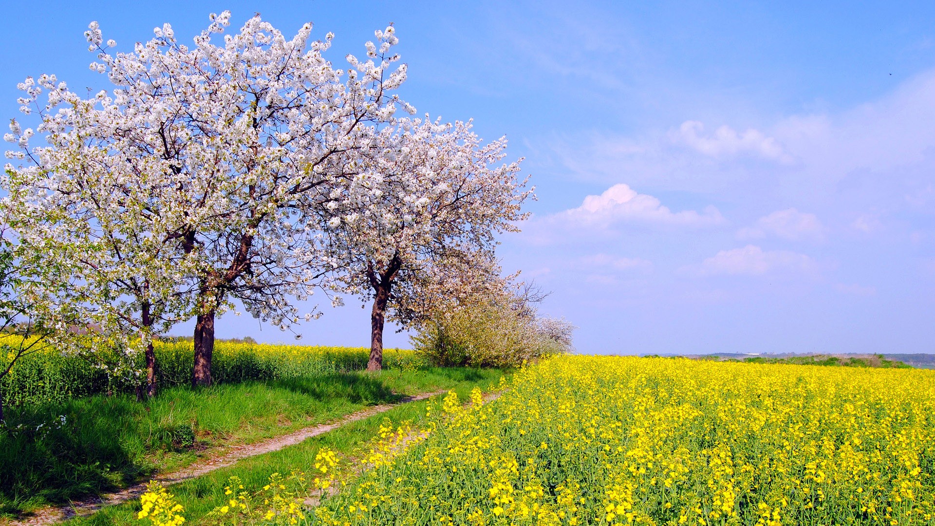 万亿参数狂欢！一文刷爆 2025 年七大顶流大模型架构