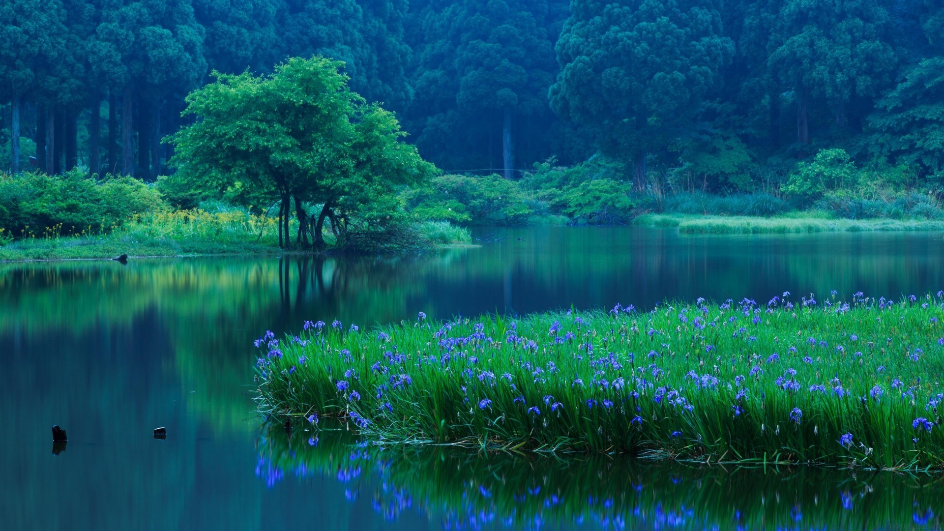 腾讯混元 3D 开源+2：瞄准游戏建模、3D 打印痛点