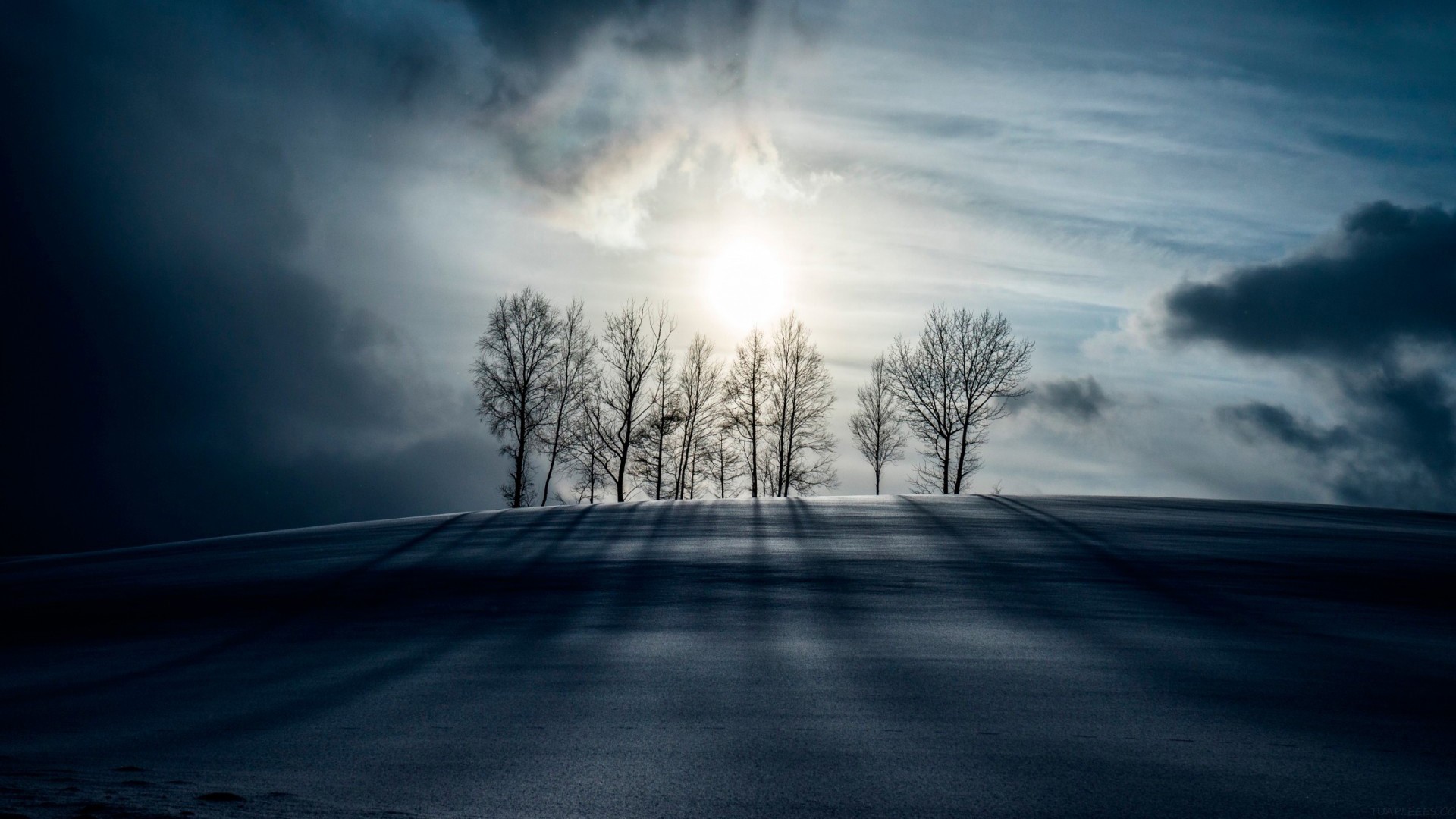 李沐：年度演讲谈智能体！