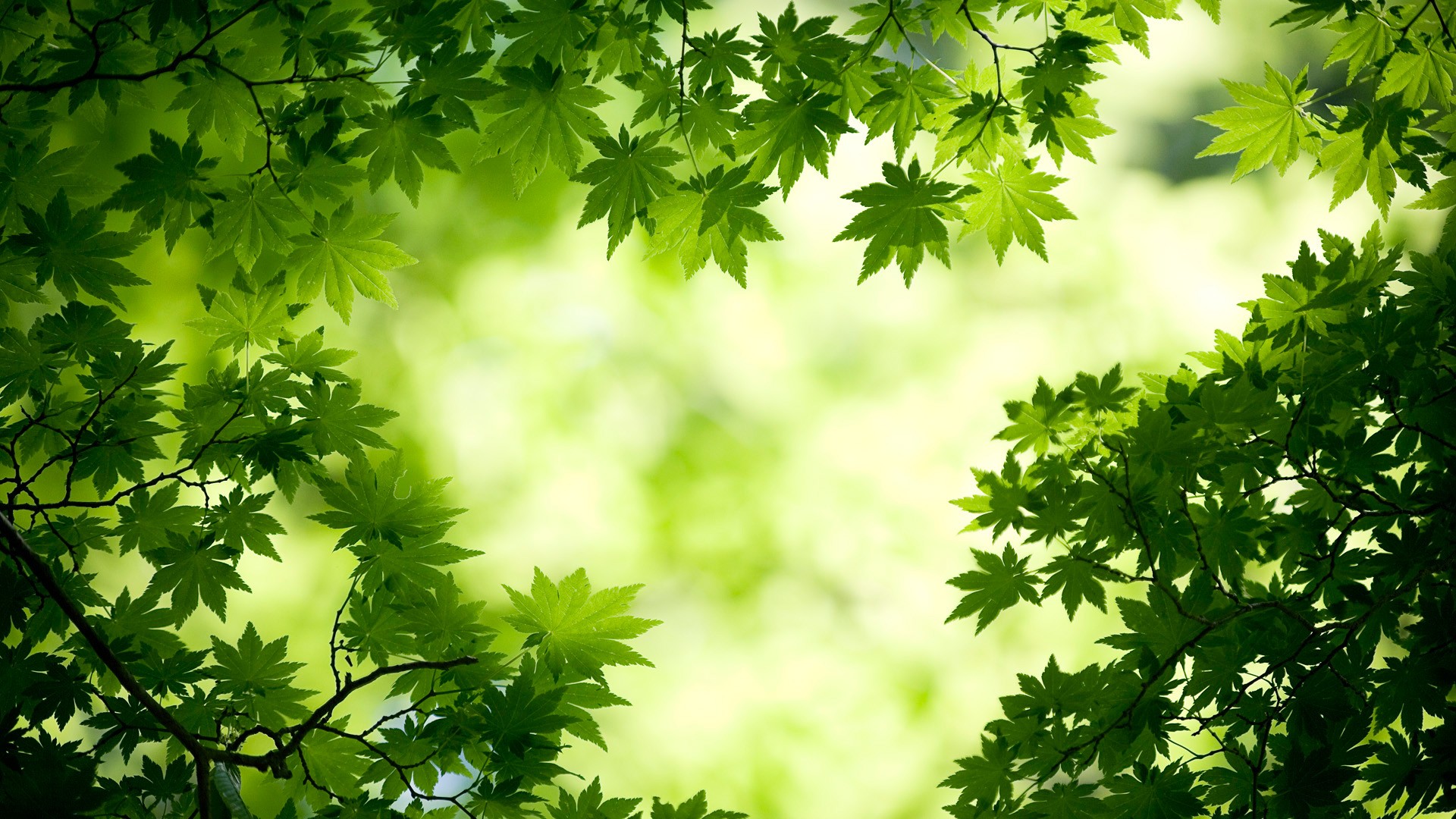 一次缓存引发的文件系统数据不一致问题排查与深度解析