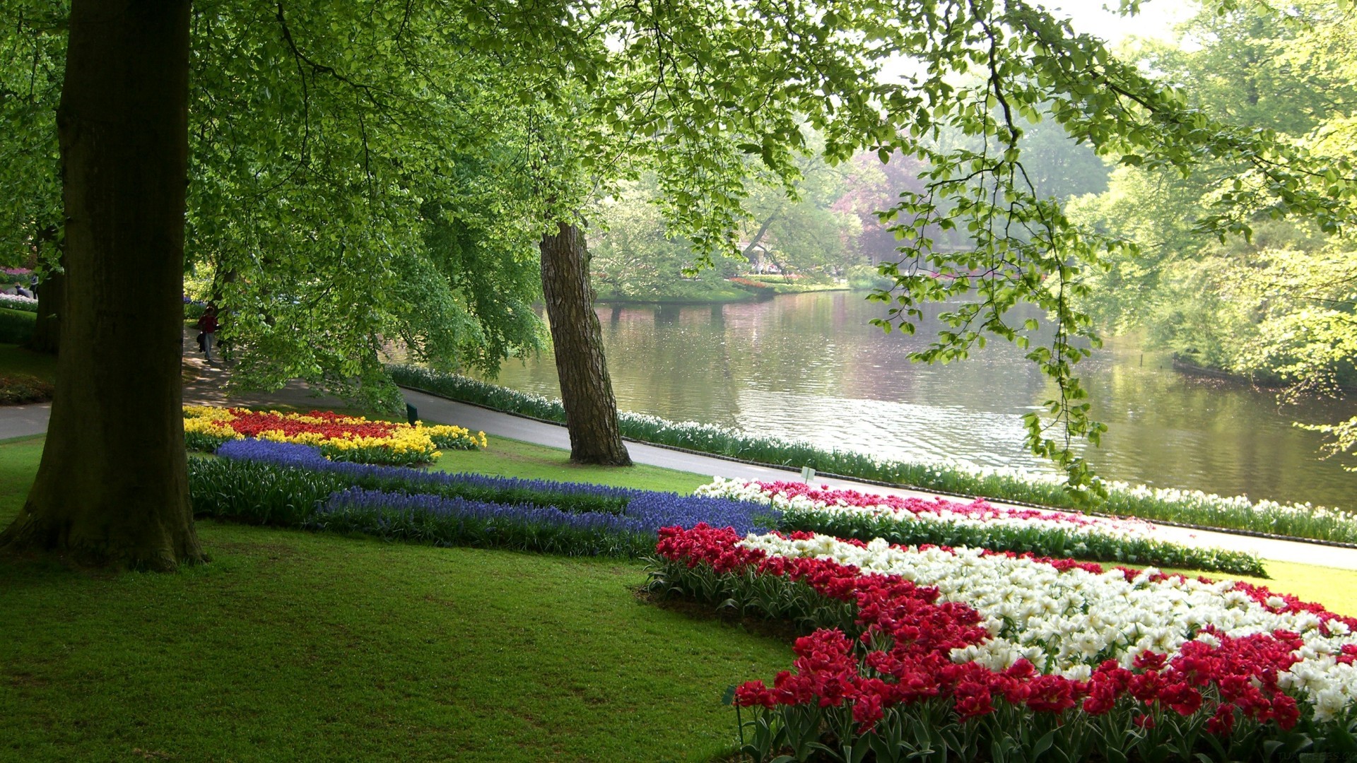 吞下 17 亿图片，Meta 最强巨兽 DINOv3 开源！重新定义 CV 天花板