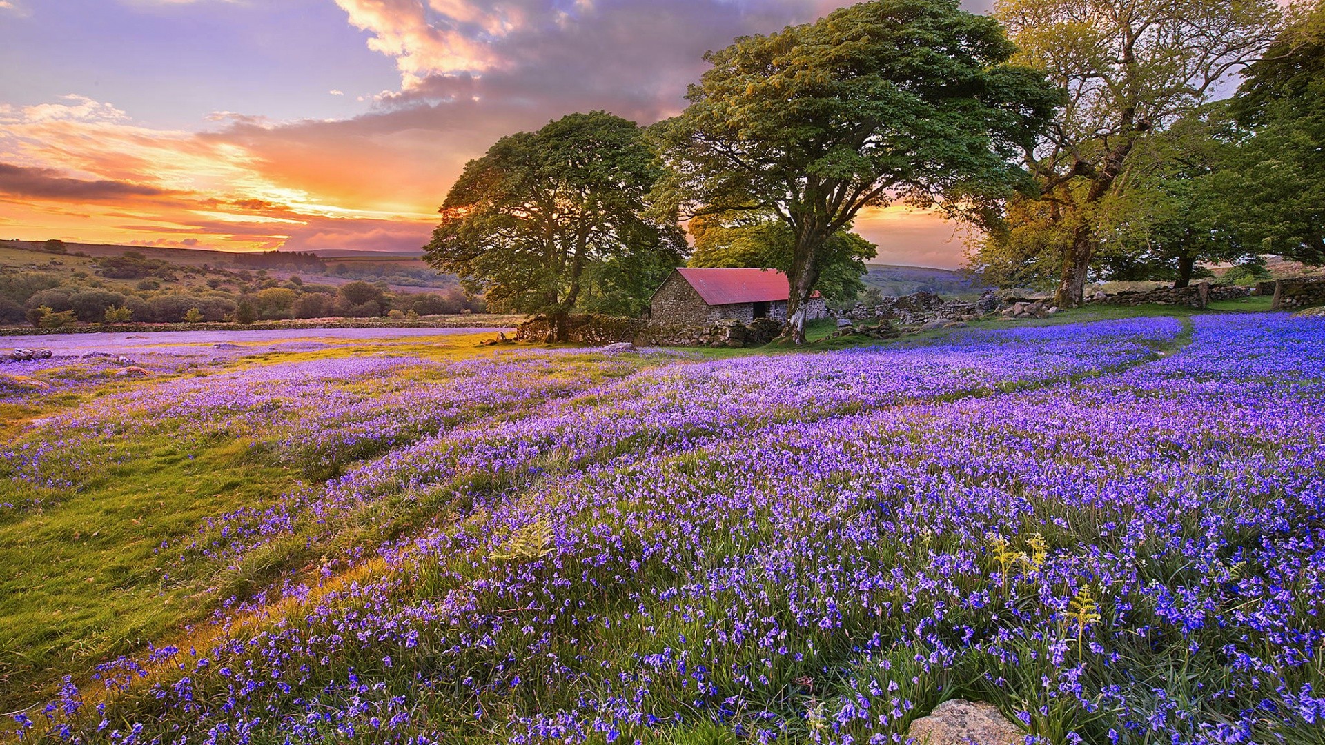 美团 LongCat 团队发布全模态一站式评测基准 UNO-Bench：揭示单模态与全模态能力的组合规律