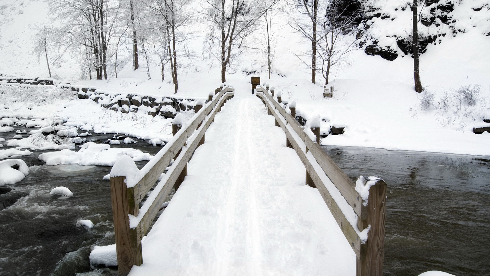 Step-3 发布：包括发布会上没说的，都在这了