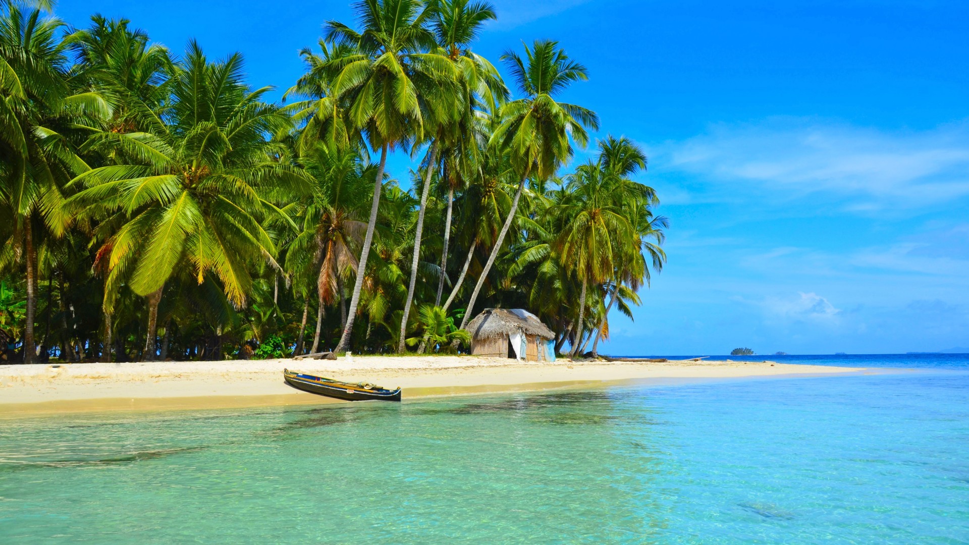 刘润年度演讲 2025：进化的力量（演讲全文）