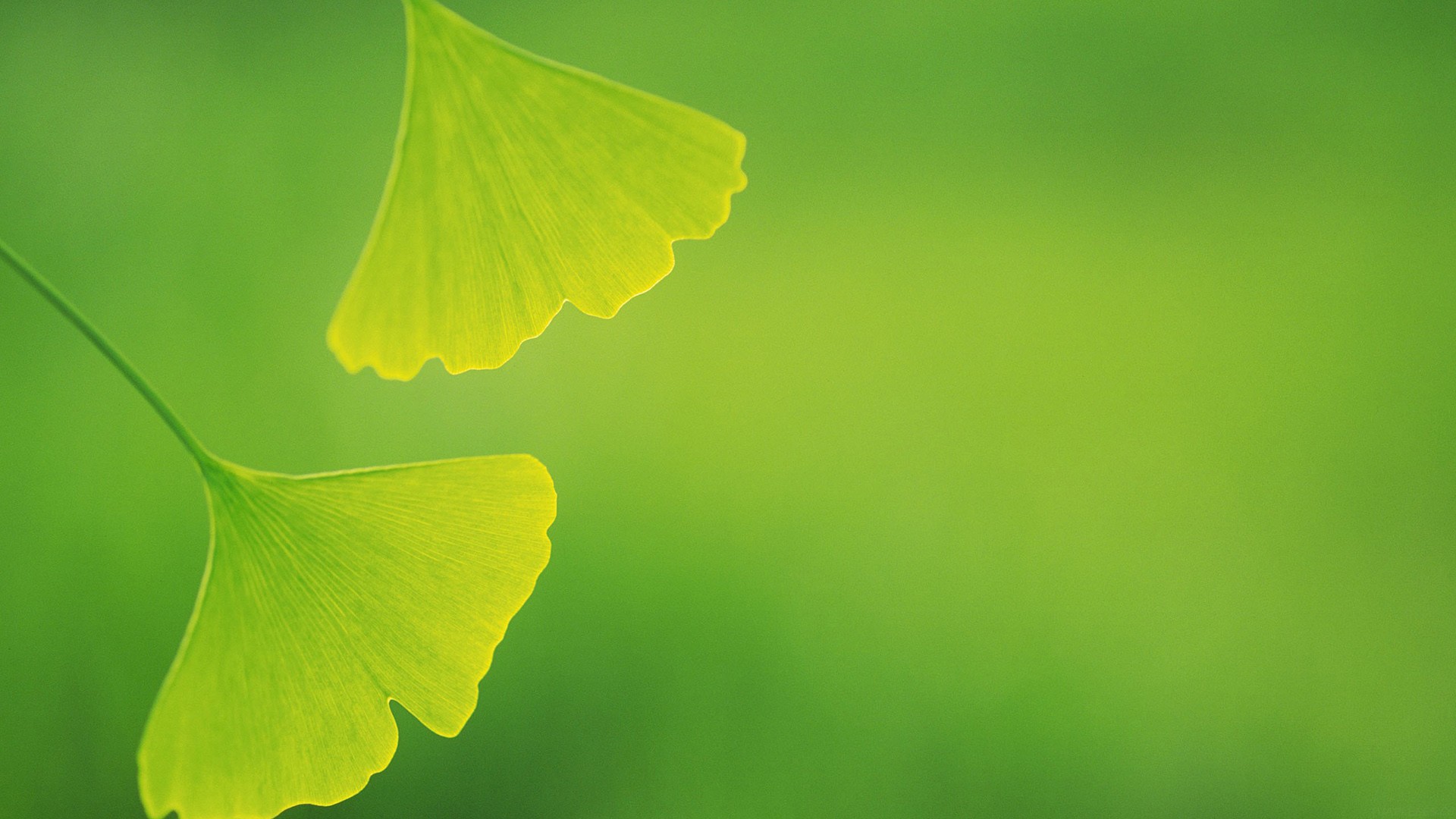 人物一致性新王 Nano Banana 登基，AI 图片编辑史诗级升级。