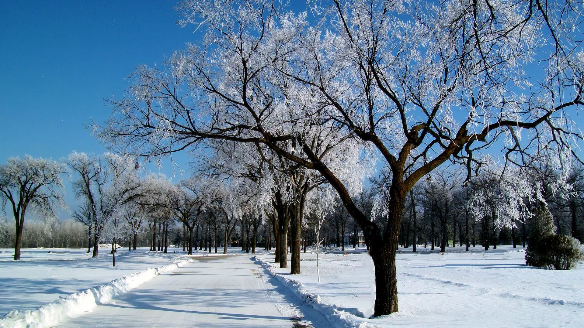 不止会“画”，更会“想”｜Seedream 4.0 图像创作模型正式发布