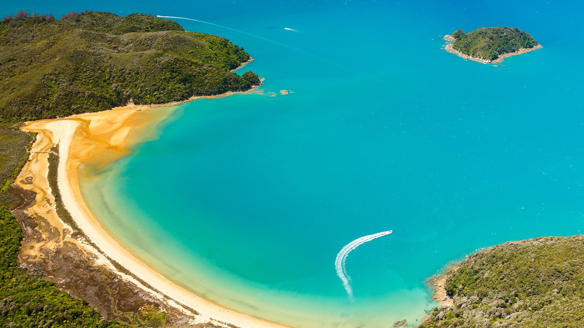 全新开源的 DeepSeek-OCR，可能是最近最惊喜的模型。