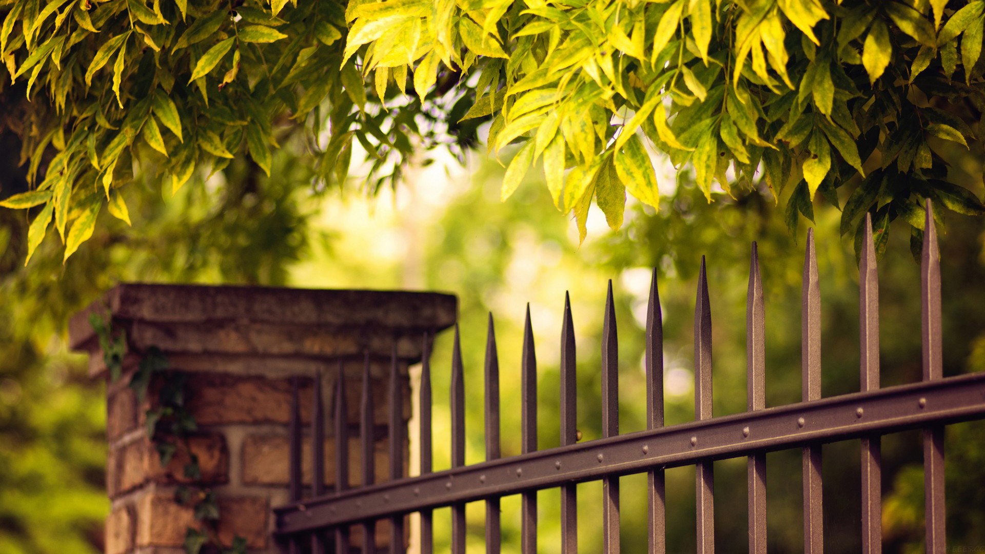 九大主流 AI PPT 横测，能打的 Agent 只有 3 个半