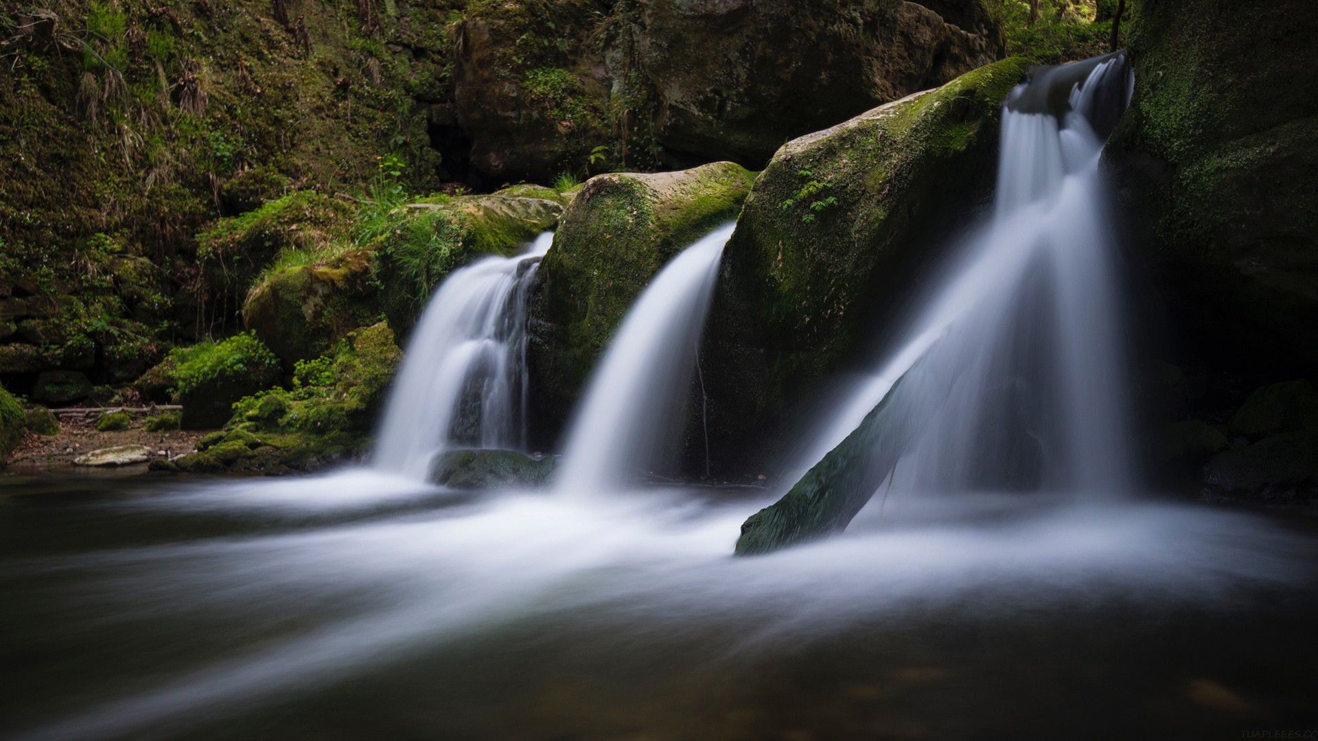 花了 3 天时间，万字长文一口气评测四大 AI 浏览器：Dia、Fellou、Comet、Edge。