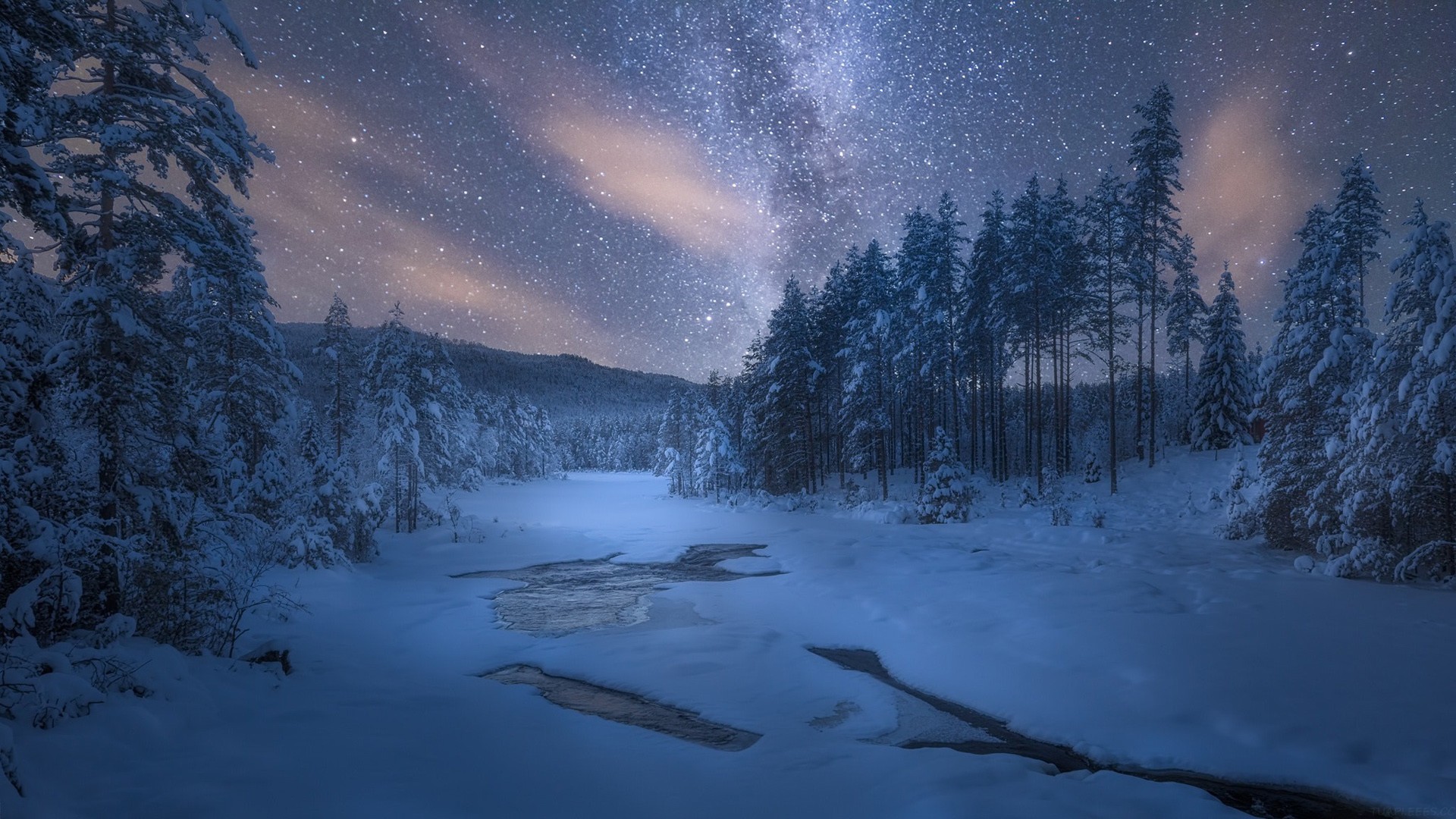 星流 Agent，10 分钟做了我一周的工作量！超全测评来了。
