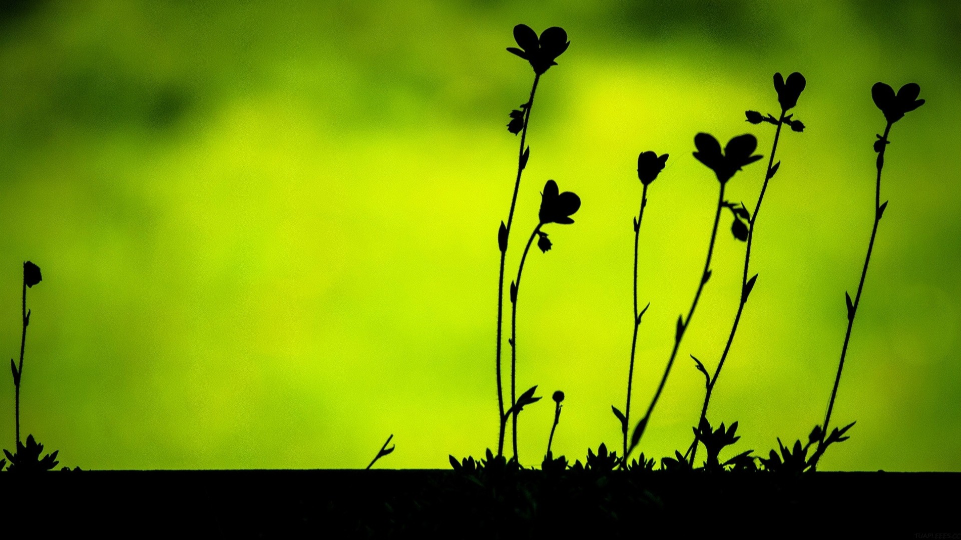 一文读懂 GPT-5 的绝招，这是决定 AI 未来的隐形武器