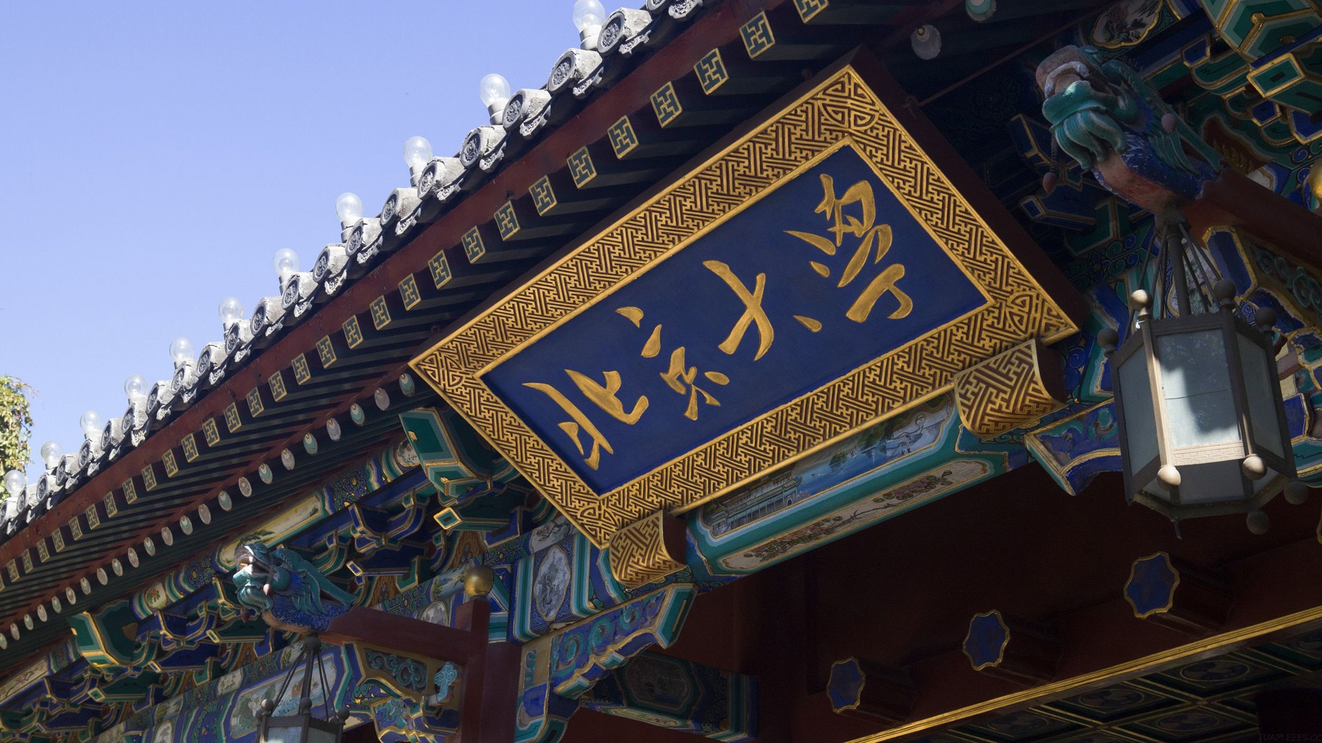 硅谷顶级 VC 如何看语音 AI？Greylock 合伙人揭秘语音 Agent 构建的三层策略