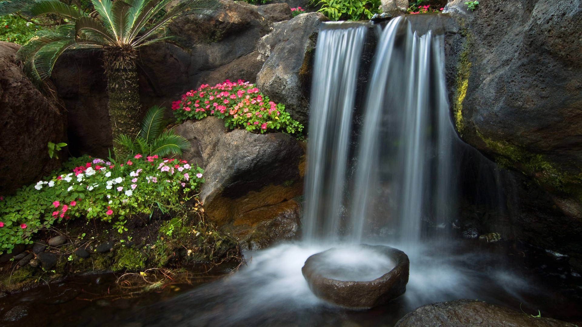 万字演讲：Dify 插件如何助力 AI Agent 应用开发？